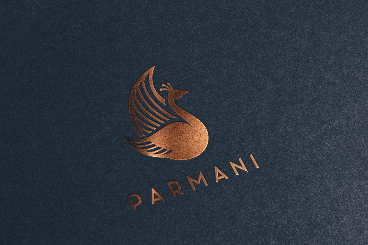 Adobe Portfolio identity logo symbol Parmani textile fabric Clothing gold copper accessories peacock indian paisley