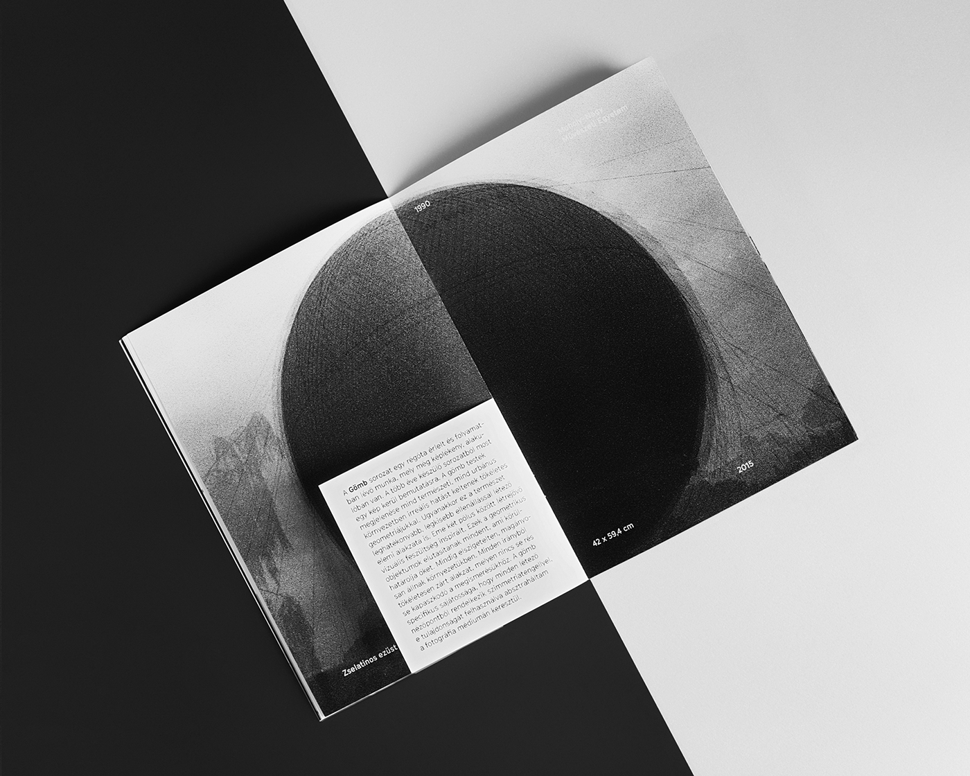 graphic design  print design  brochure minimal absence Exhibition  identity