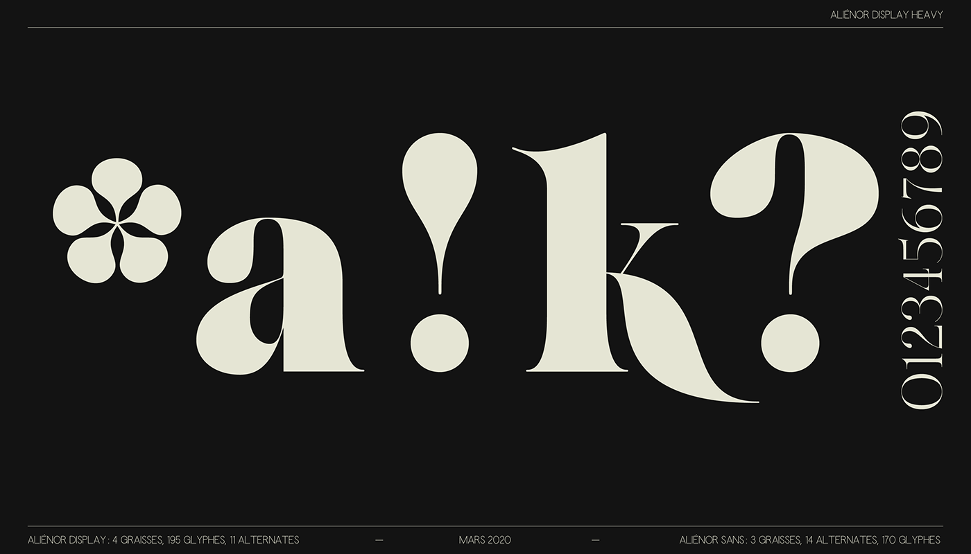font fonts glyphs graphic design  serif type type design typedesign Typeface typography  