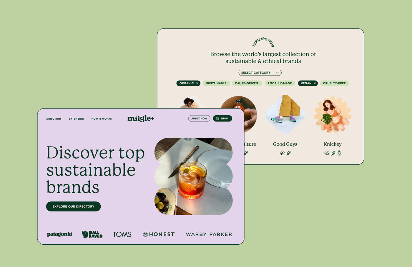 brand identity branding  e-commerce Ecology green Instagram Templates Logo Design social media Sustainability organic
