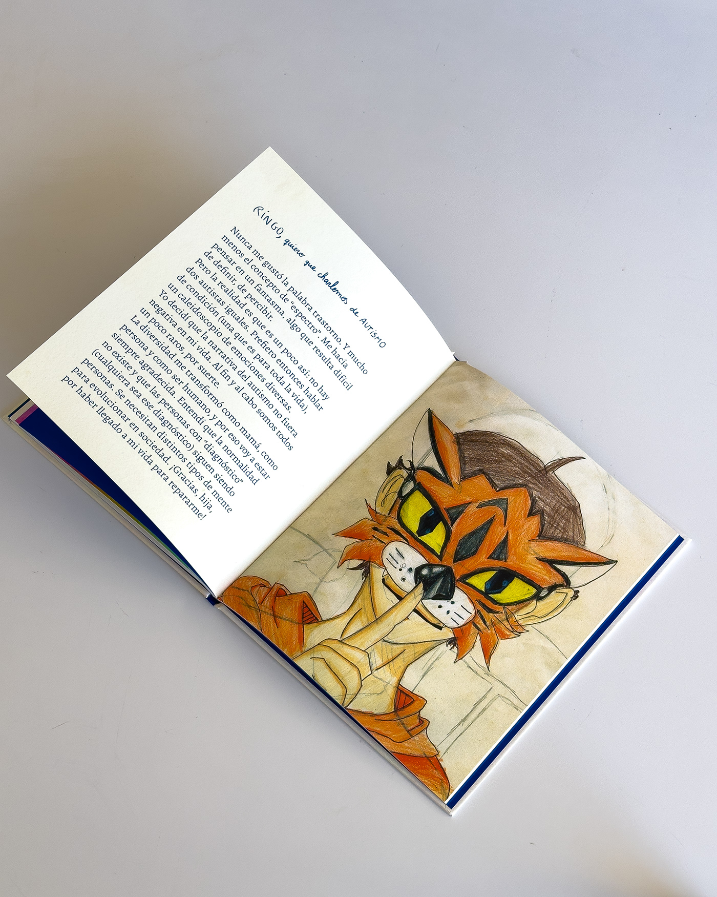 book editorial Layout editorial design  typography   Illustrated book ILLUSTRATION  Drawing  Character design  children's book