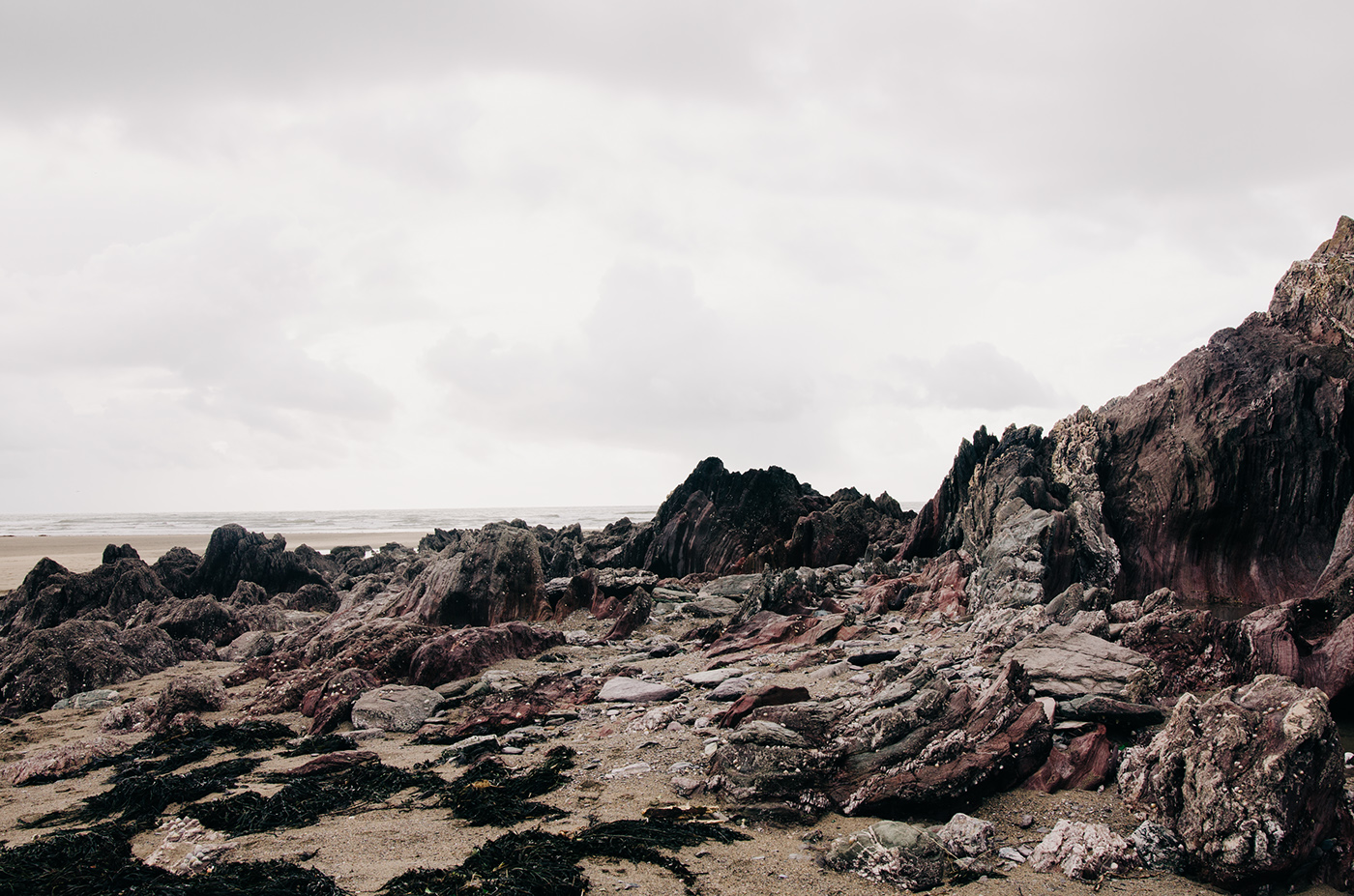 Landscape portrait devon UK Nature beach sea Ocean countryside walks adventure