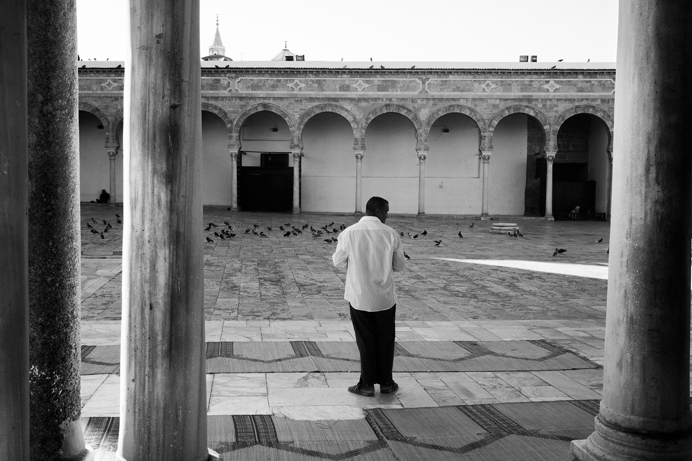 Documentary  mosque Travel tunis