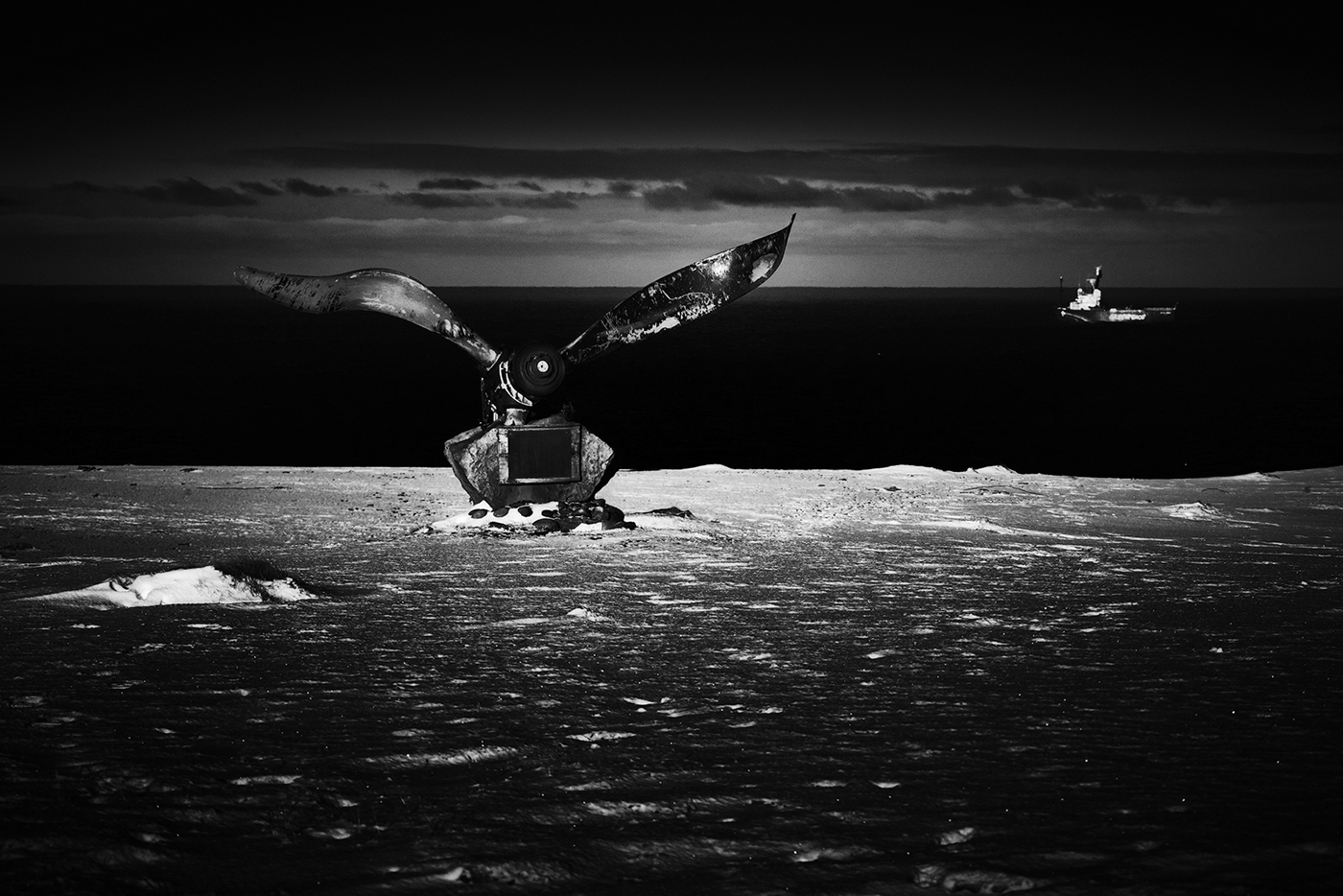 bw Bear island norway Barents Sea birds b&w Landscape seascape Arctic fine art