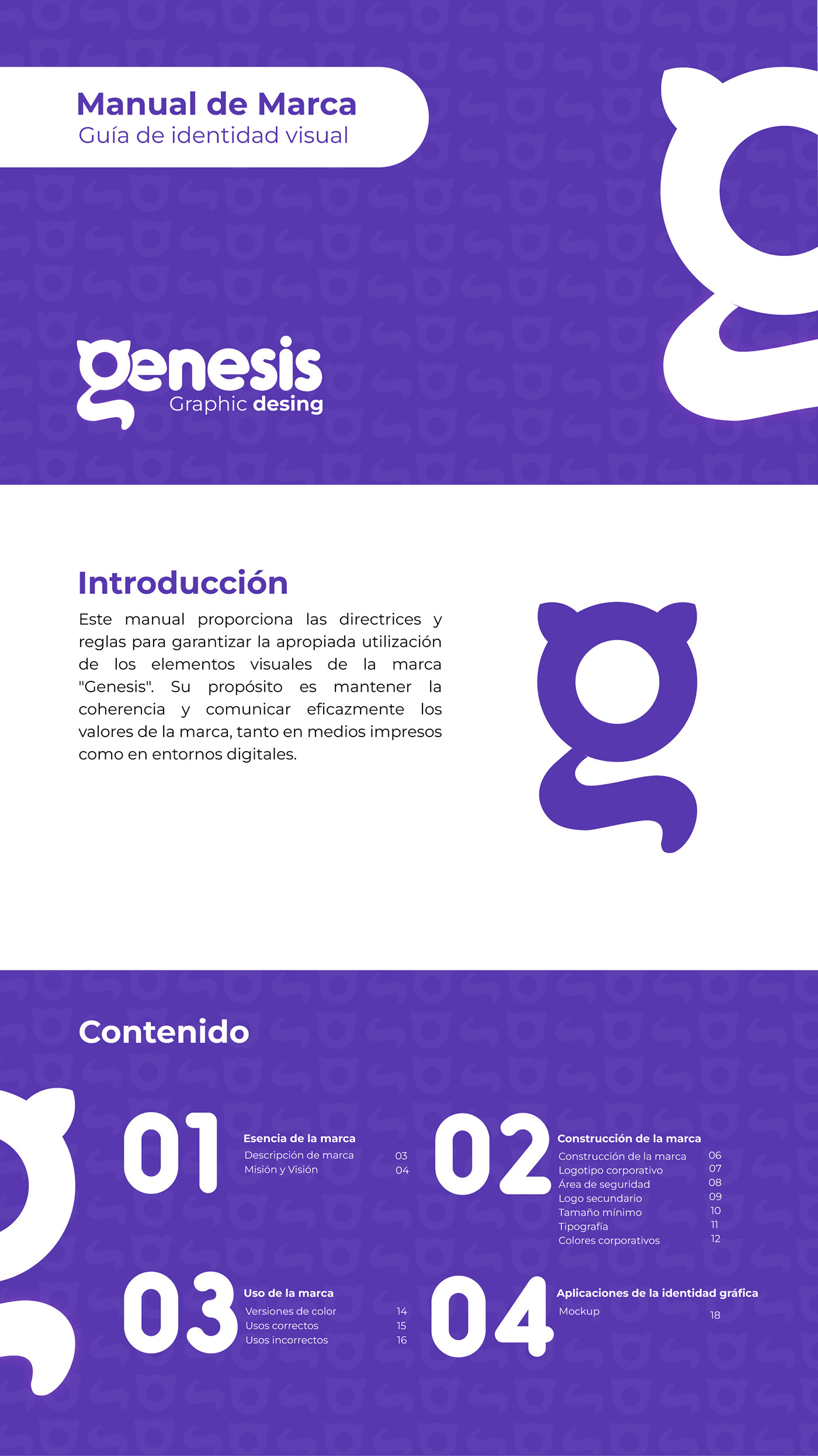 Manual de Marca identidad visual Logotipo visual identity