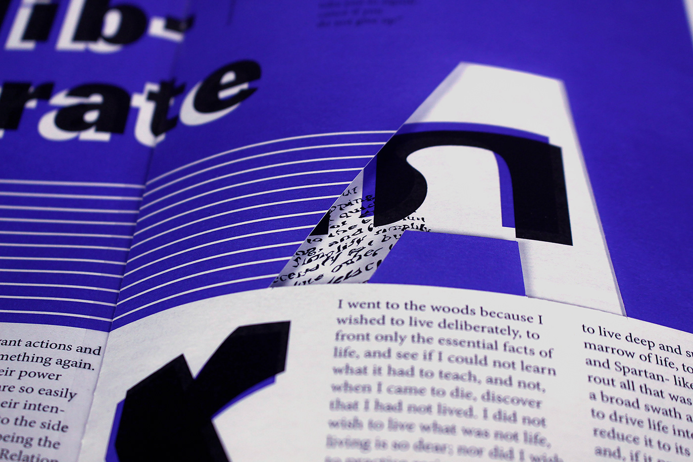 graphic design  MICA typography   book documentation