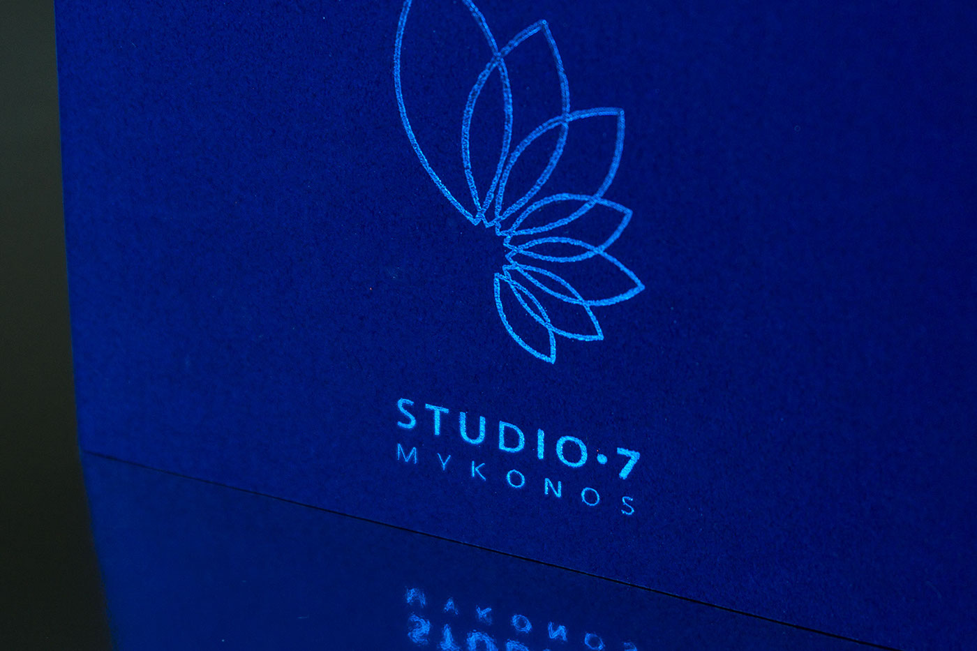branding  Mykonos minimal Flowers visuals blue Greece angelos botsis Logotype Florescence