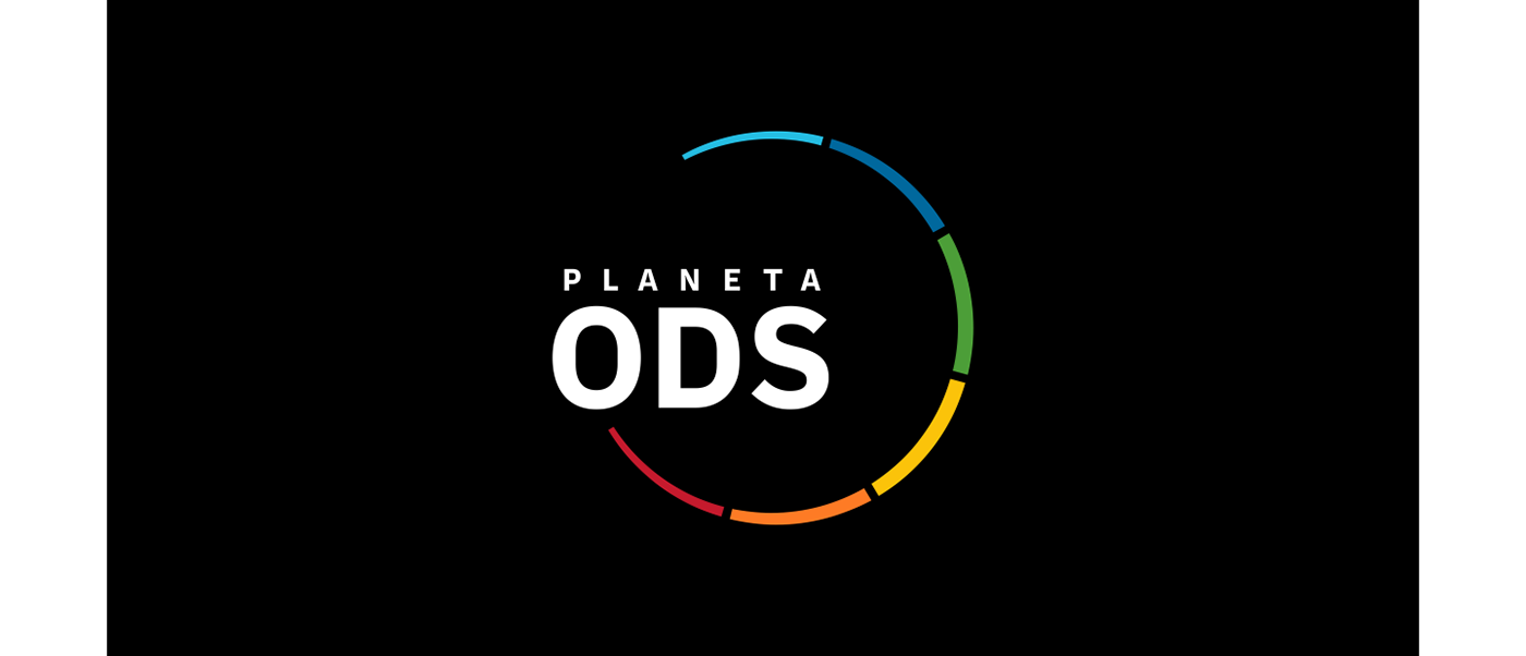 logo colombia branding  Sustainability visual identity SDG consultancy consultoria sostenibilidad colorful