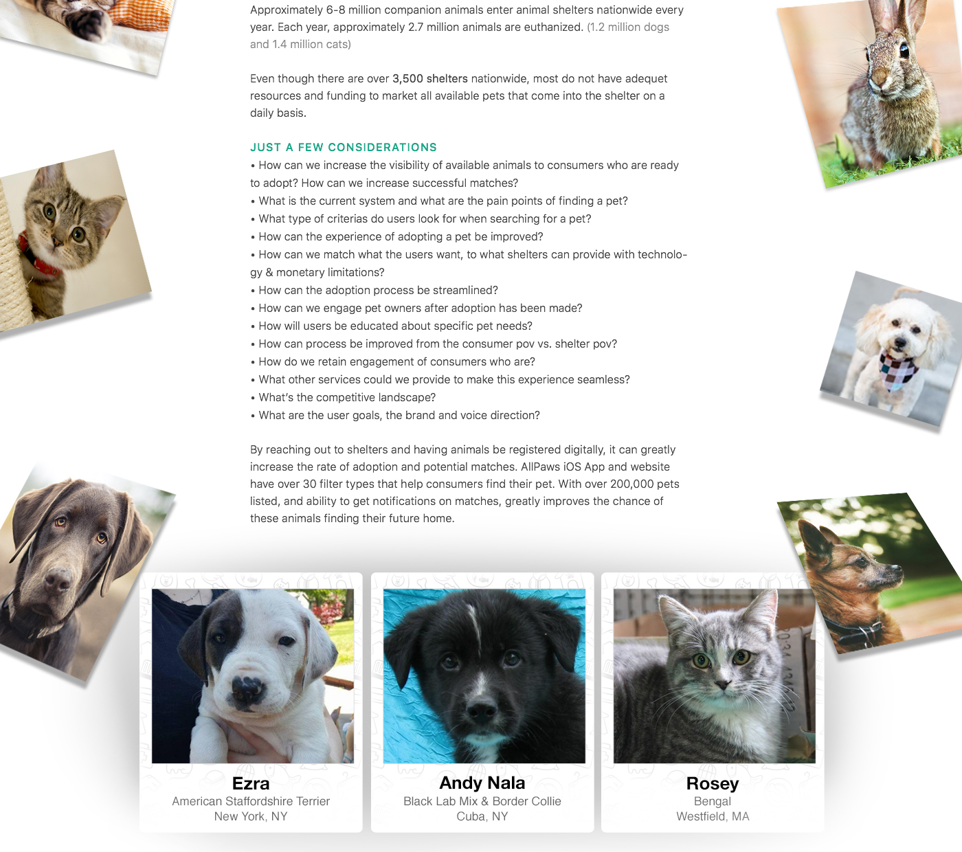 Adobe Portfolio Pet adoption shelter animals dogs Cat app mobile app design user interface user experience