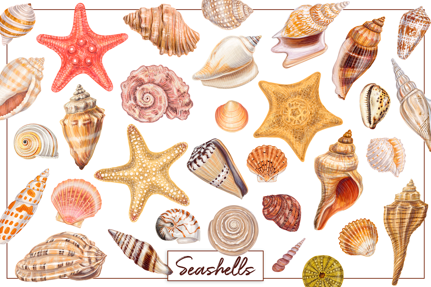seashell sea Ocean summer pattern background watercolor