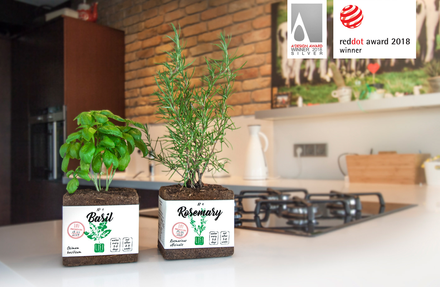 lifi Packaging Active ecological leaves trees