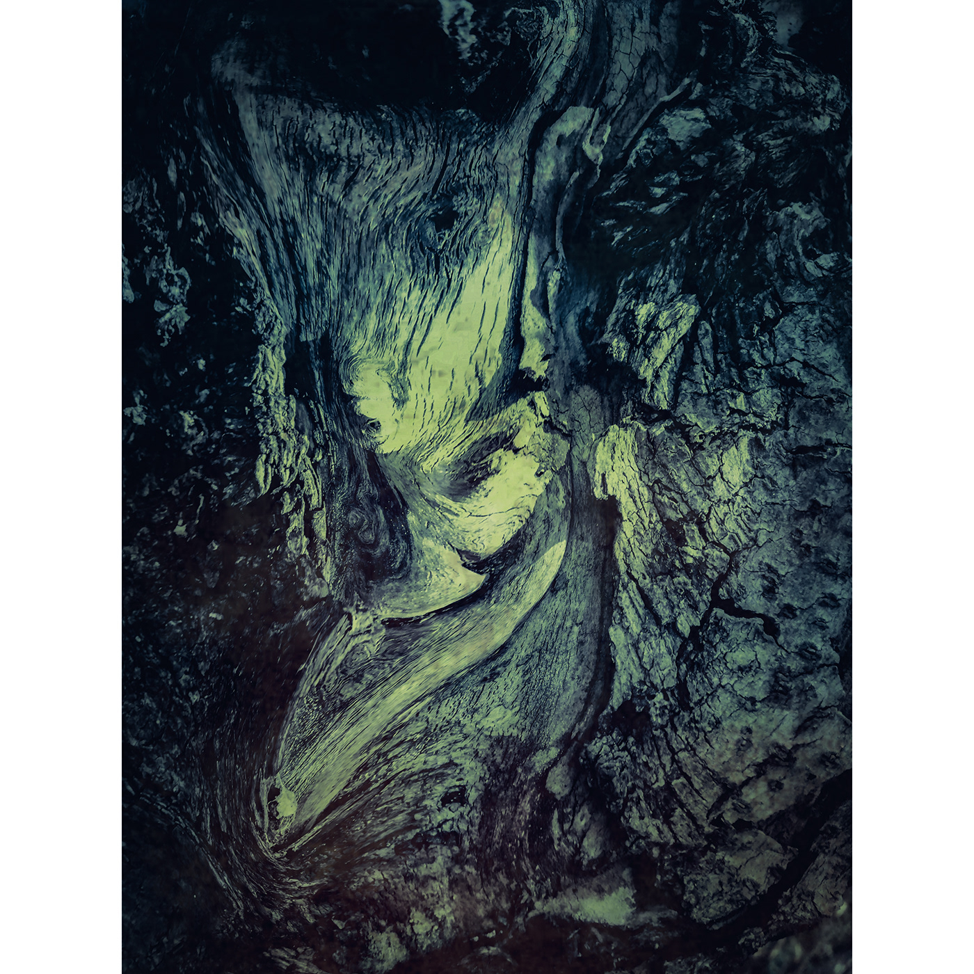 Veles Odin Nature pagan Mystic spirit shamanic forest Metamorphosis Transformation Tree  dark darkart darkness dharma wood ioki Геката Хэния
