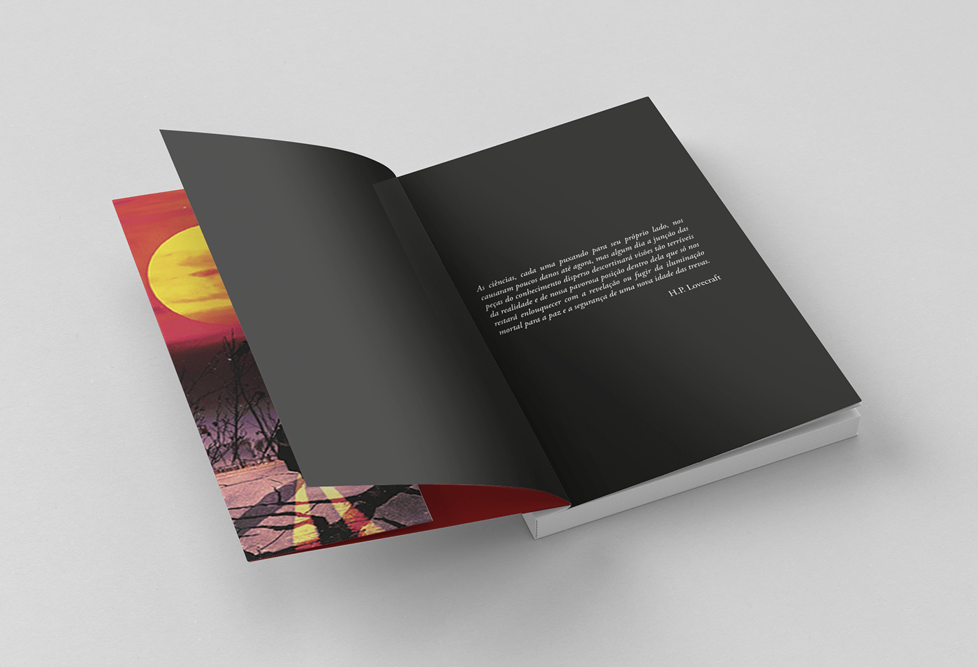 diagramação diagramação de livro projeto gráfico editorial Livro design gráfico book produção editorial InDesign design editorial