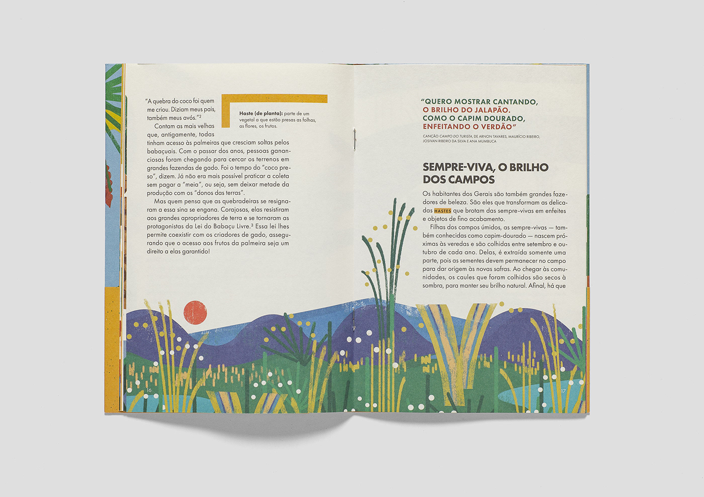 book book design child design editorial editorial design  educational books environment Illustrated book teaching aids