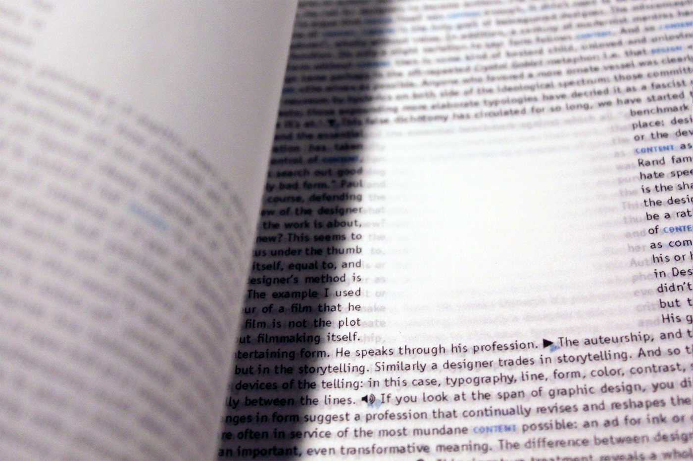 Adobe Portfolio book design essay