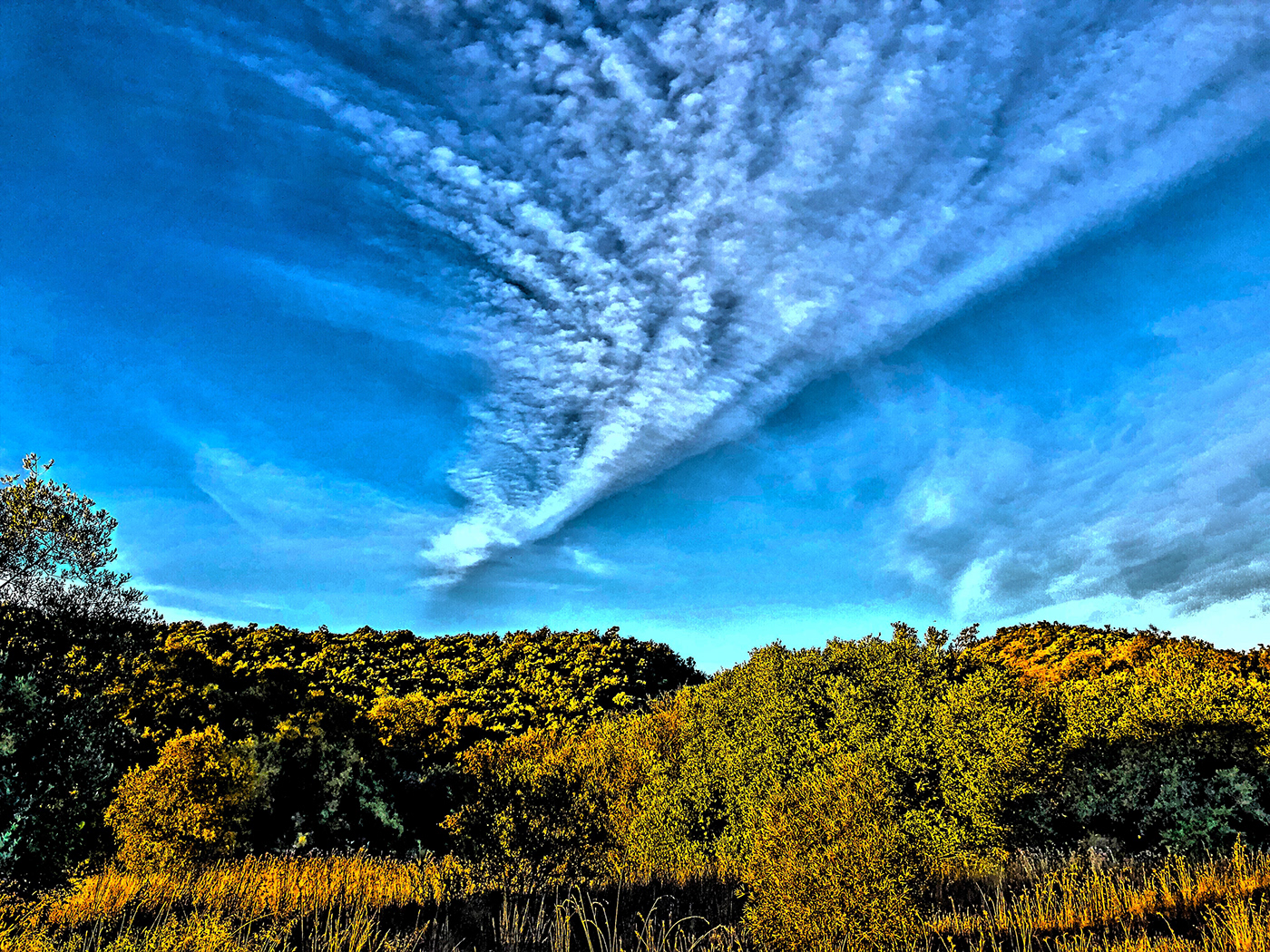Cirrus clouds jet stream SKY blue Ridge trees