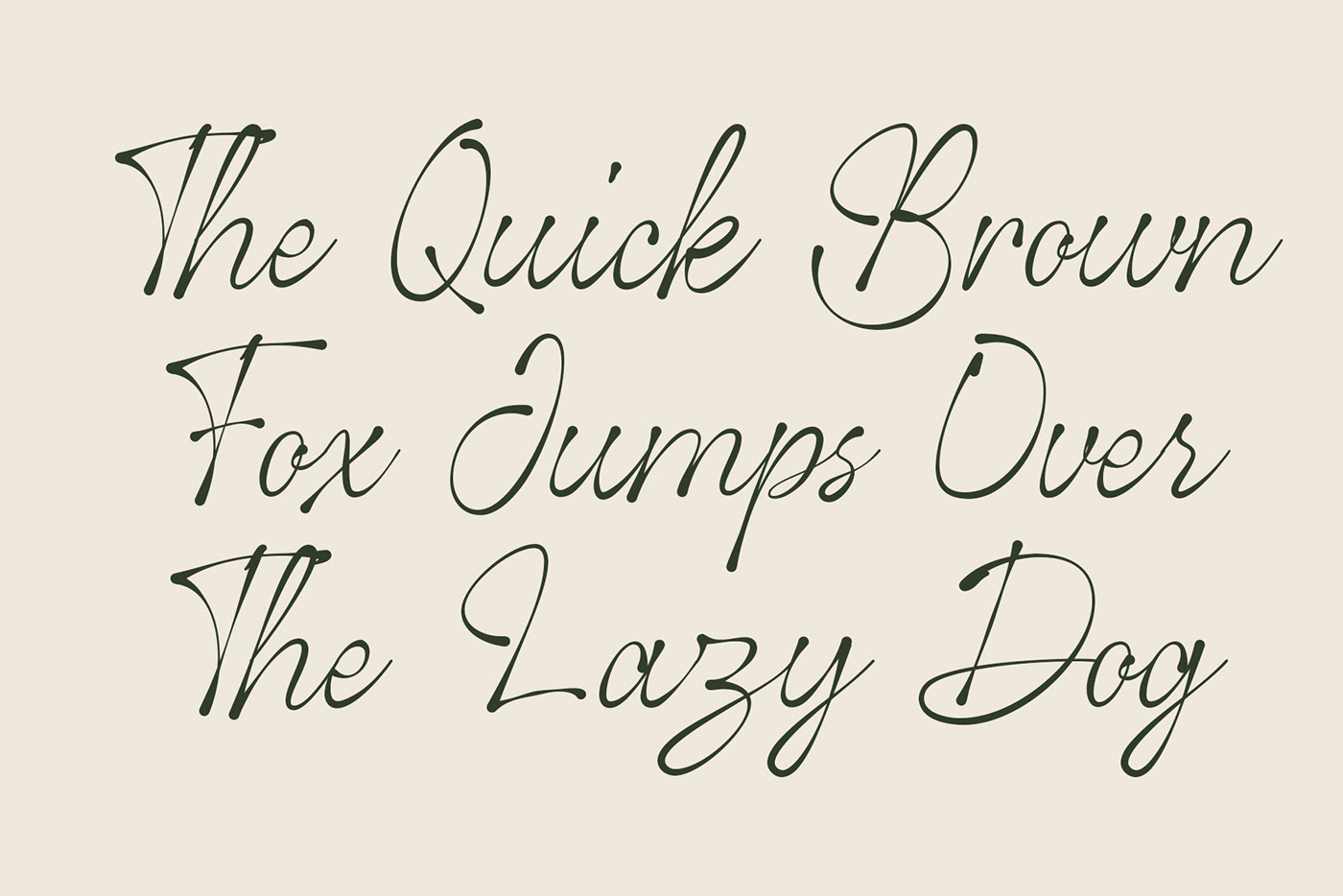Calligraphy   display font font handwriting handwritten lettering Logotype type design Typeface typography  