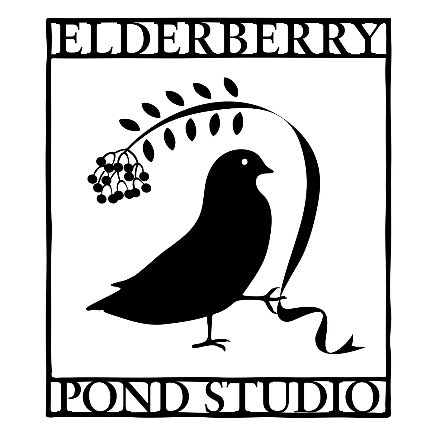 elderberry logo identity black bird Signage graphic design  Silhouette