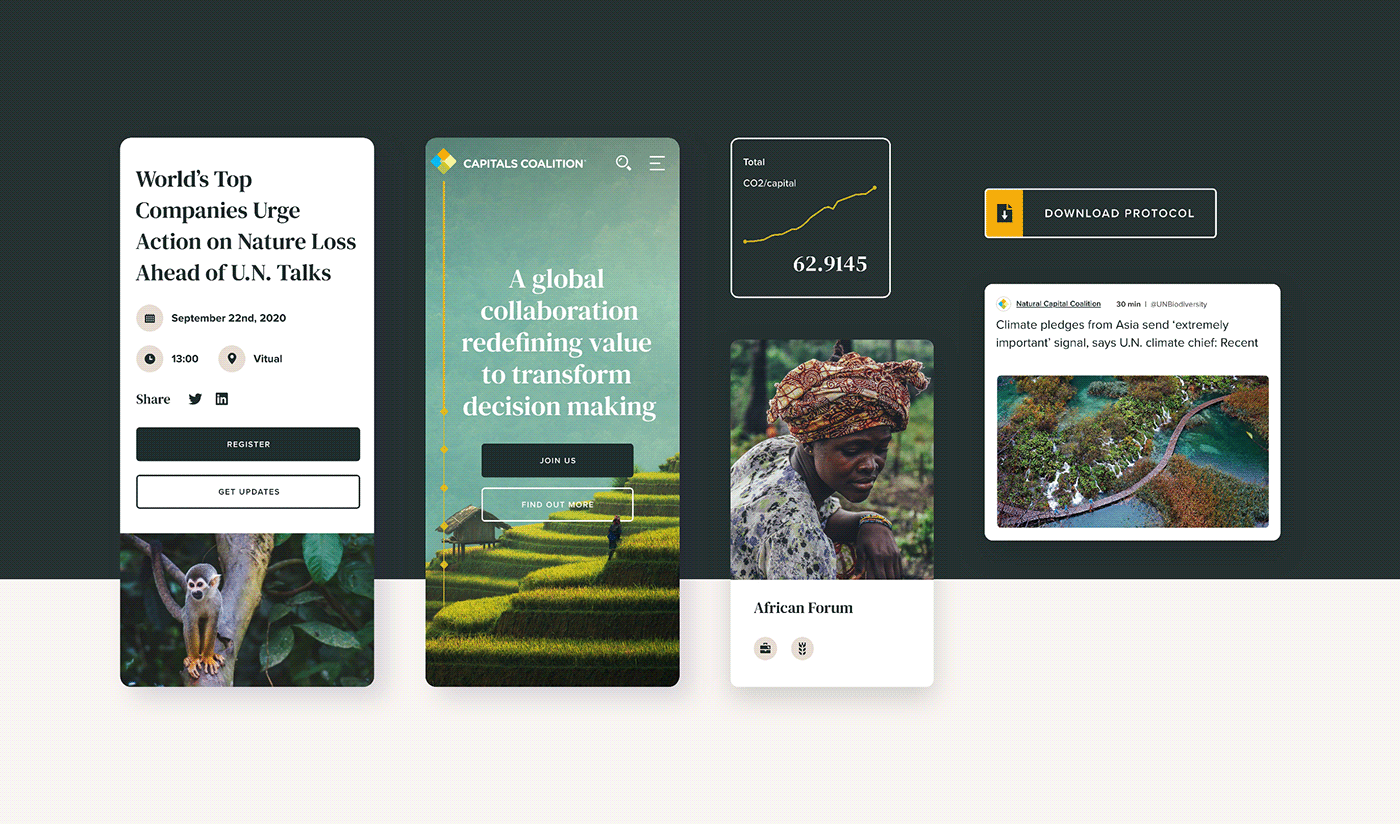 This is sample of the modules and UI kit

