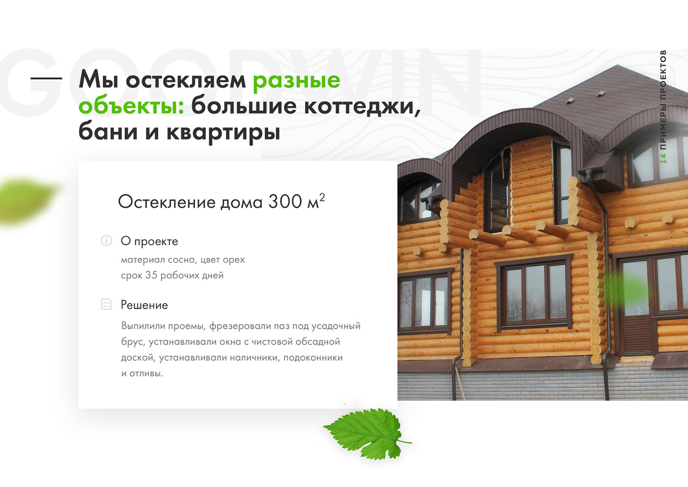 презентация дерево wood green White эко eco премиум дизайнер