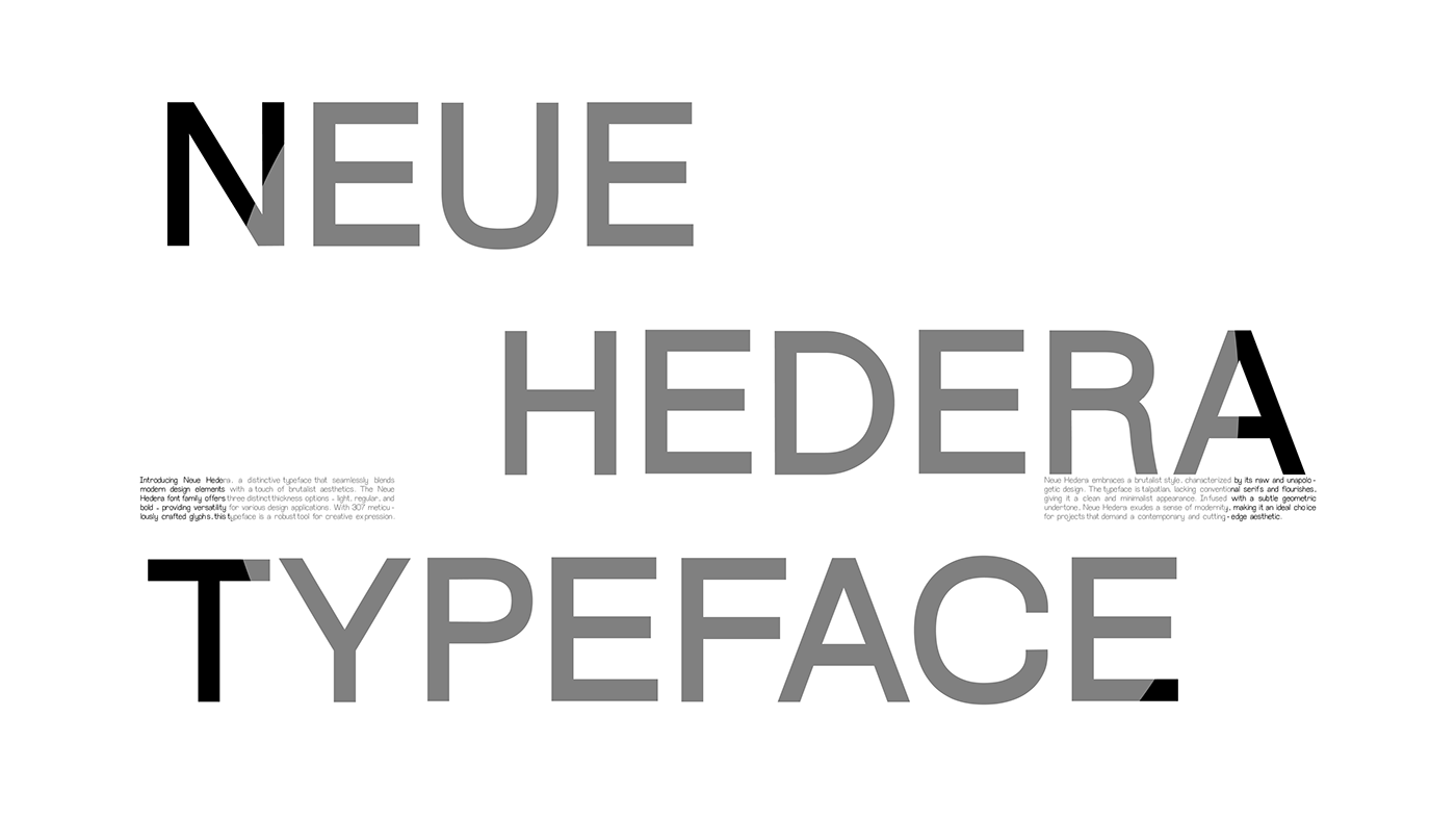 Variable Font font font design typography   Typeface type letters type design sans serif