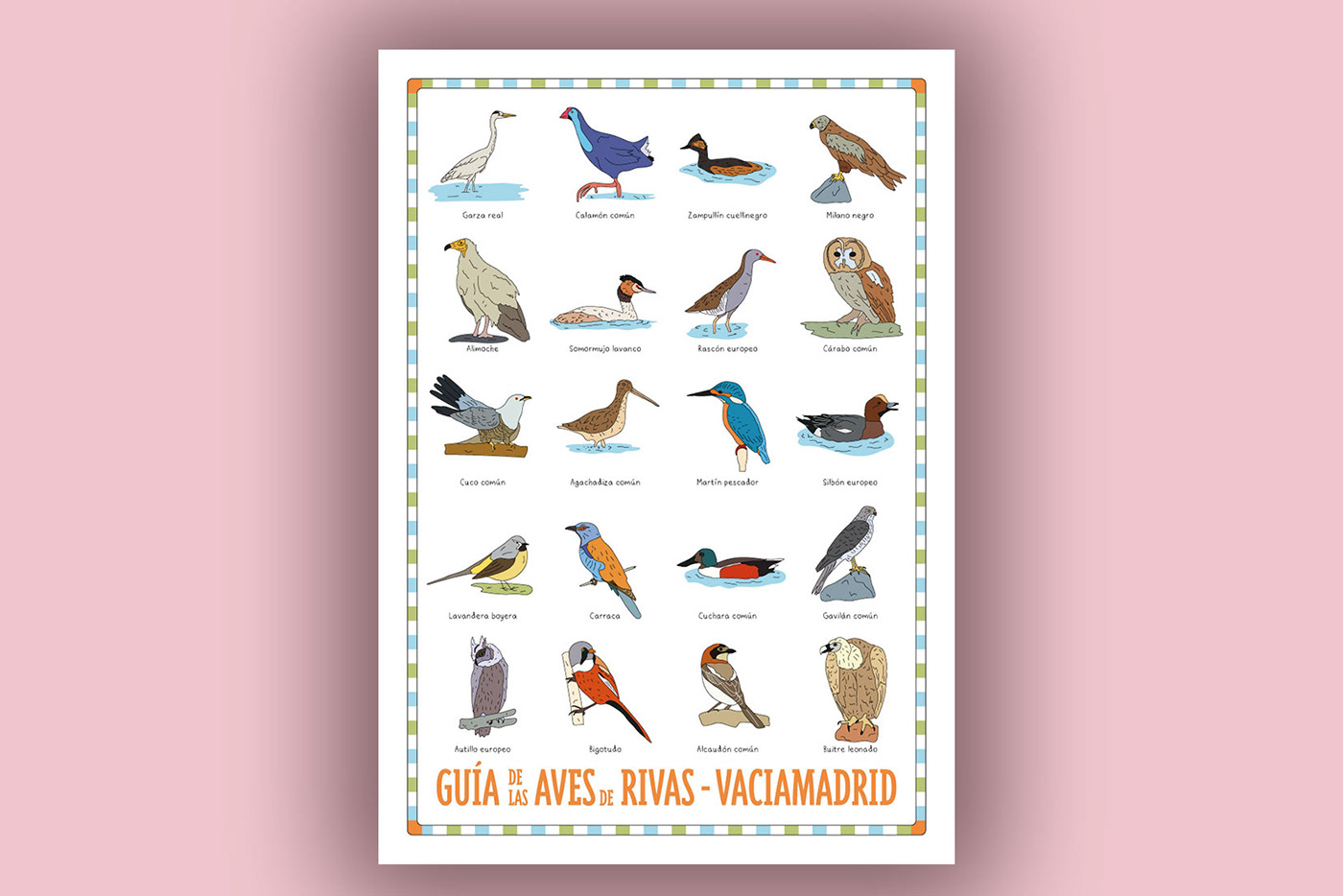 aves birds cartel ilustracion madrid Nature rivas vaciamadrid