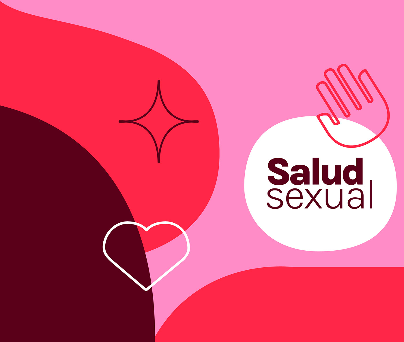 branding  logo mexico sexual education type design typography  