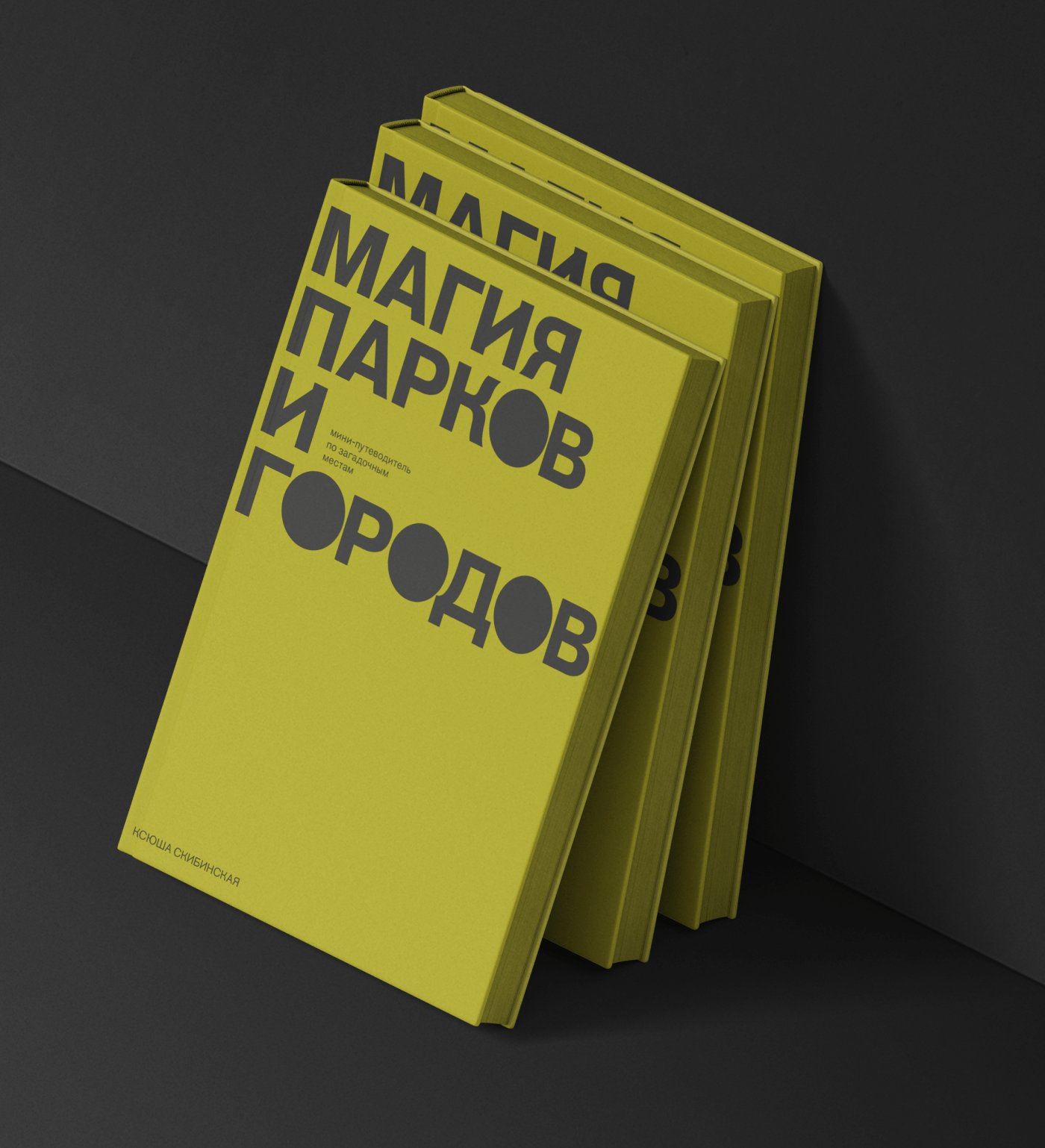 design book typography   Graphic Designer InDesign photoshop Illustrator magazine