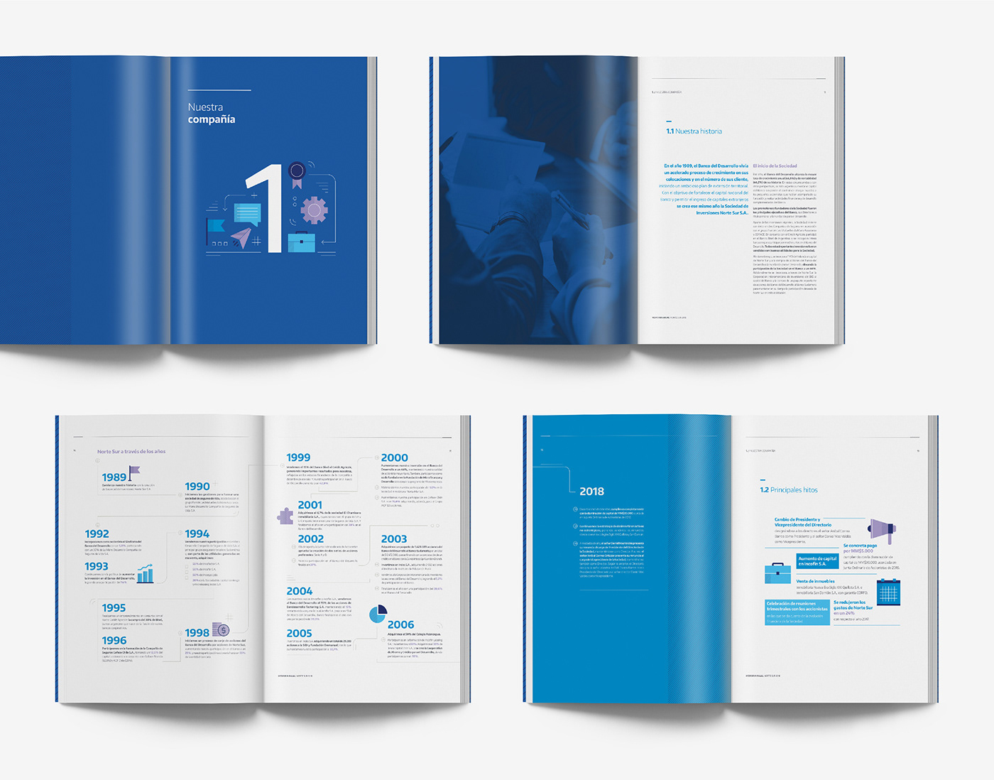 memoria anual annual report norte sur corporative business areas company investment society print design  sociedad de inversiones summary