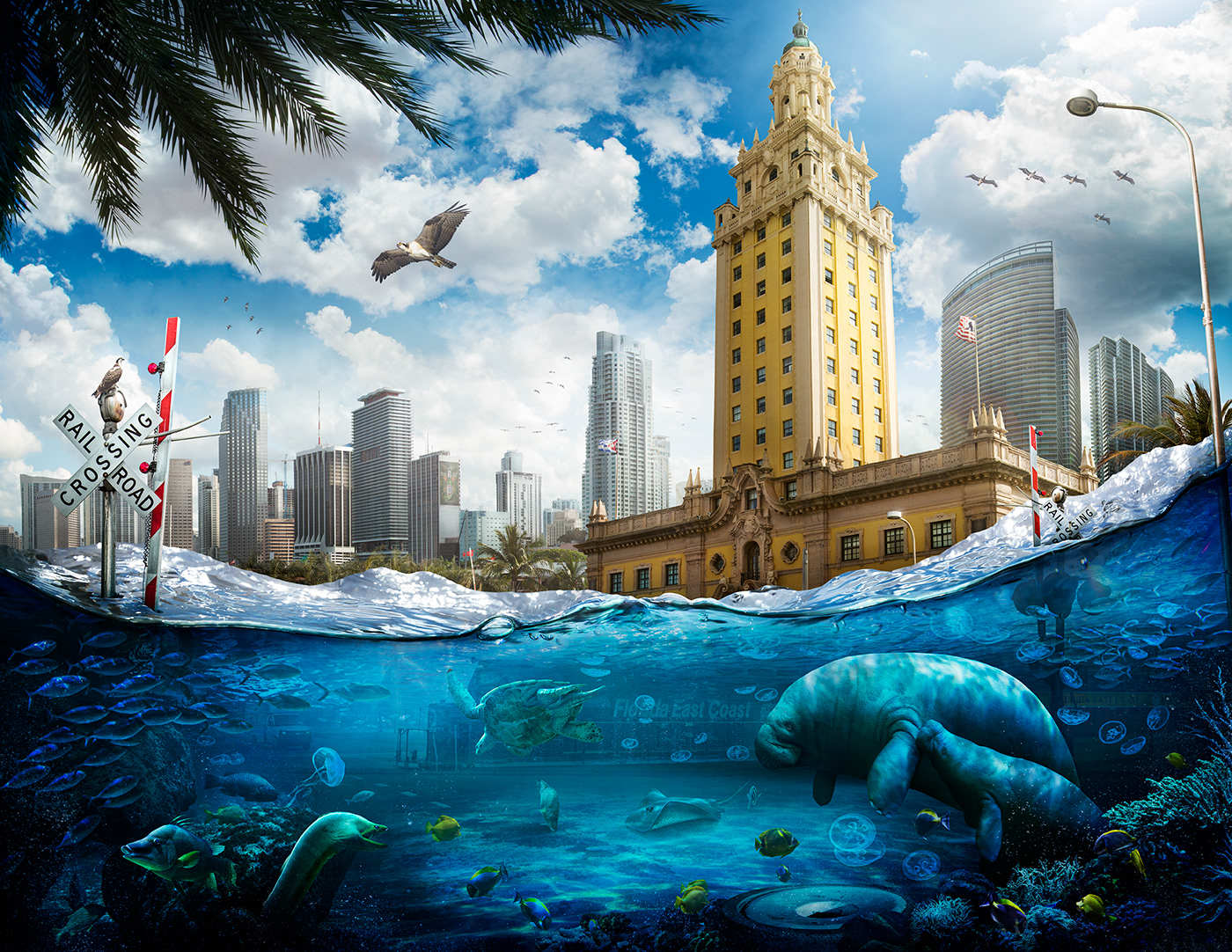 climate change global warming Sea Level Rise environmentalism Ocean miami underwater future Nature photomanipulation