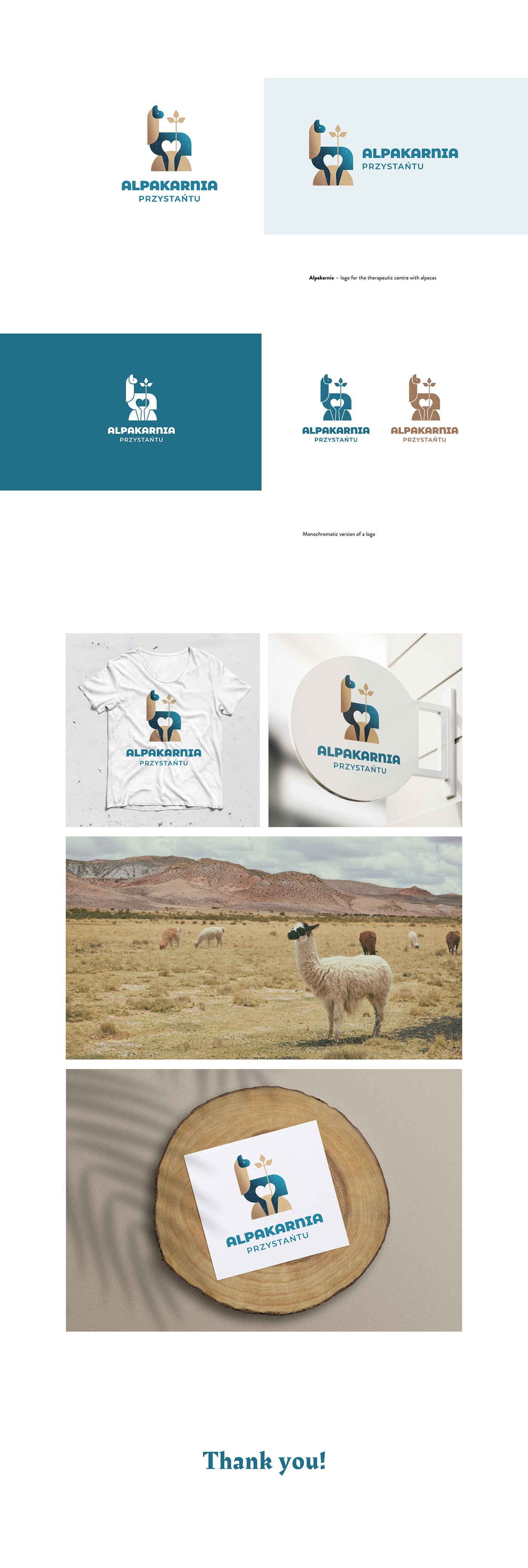 alpaca Alpacas brand design graphic design  illustration poland logo logotye polish design