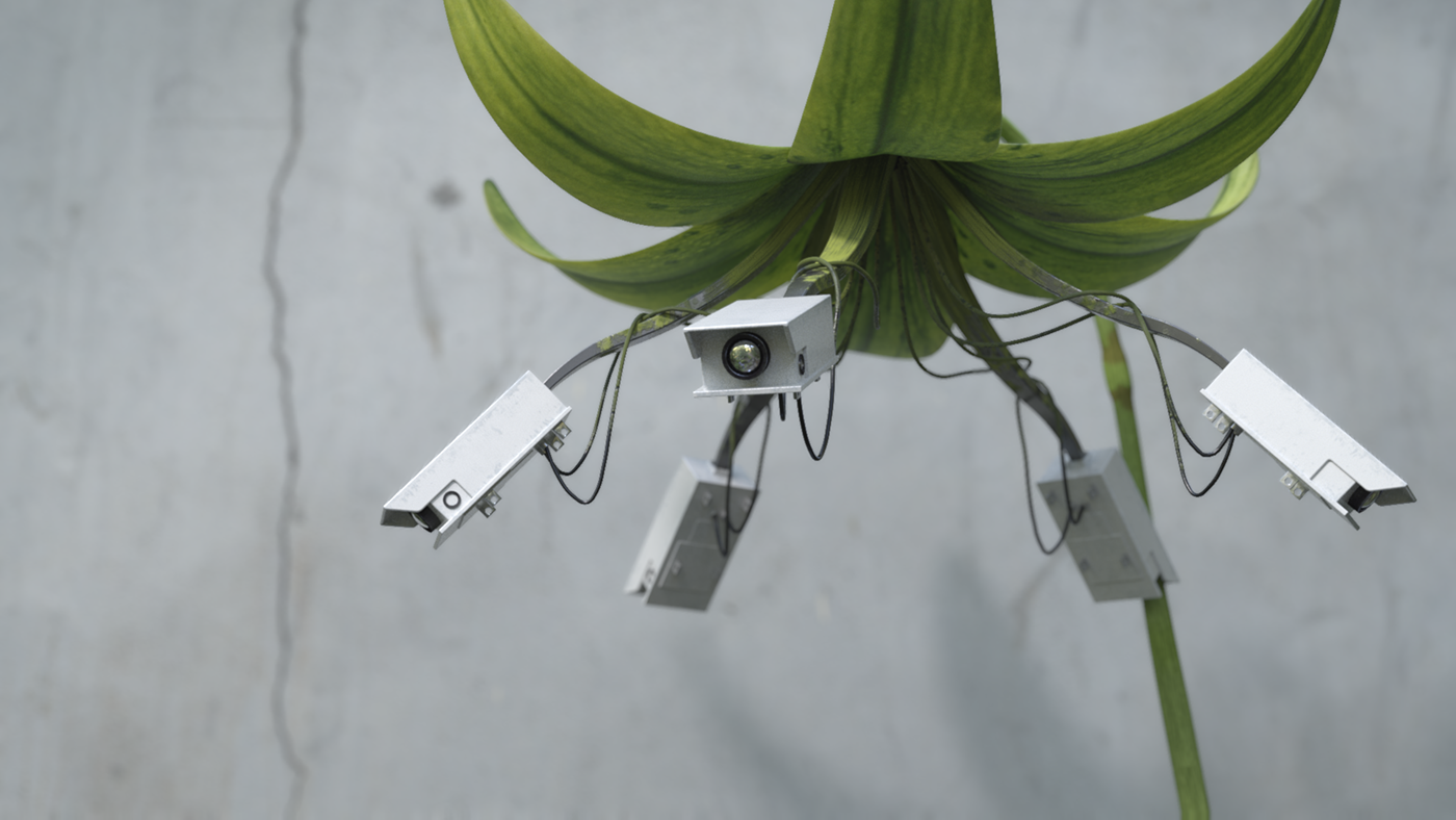 3D animation  Plant flower cyber Technology CCTV vfx arnold hard surface
