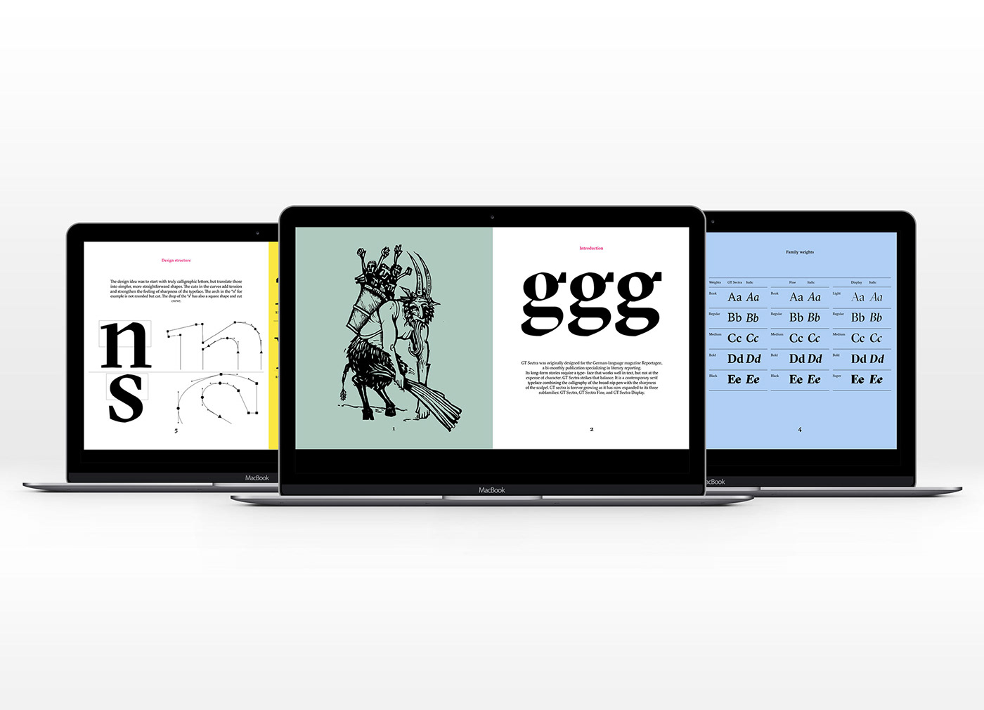 graphic design  Type Specimen typography   Web Design  Website