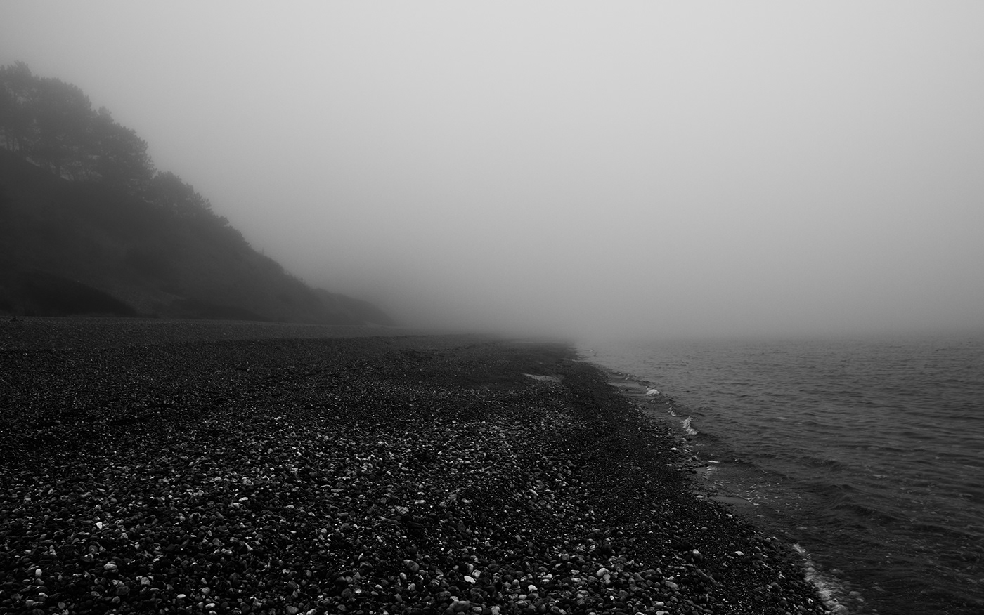 fog Landscape forest sea beach Nature calm serene abandoned haze