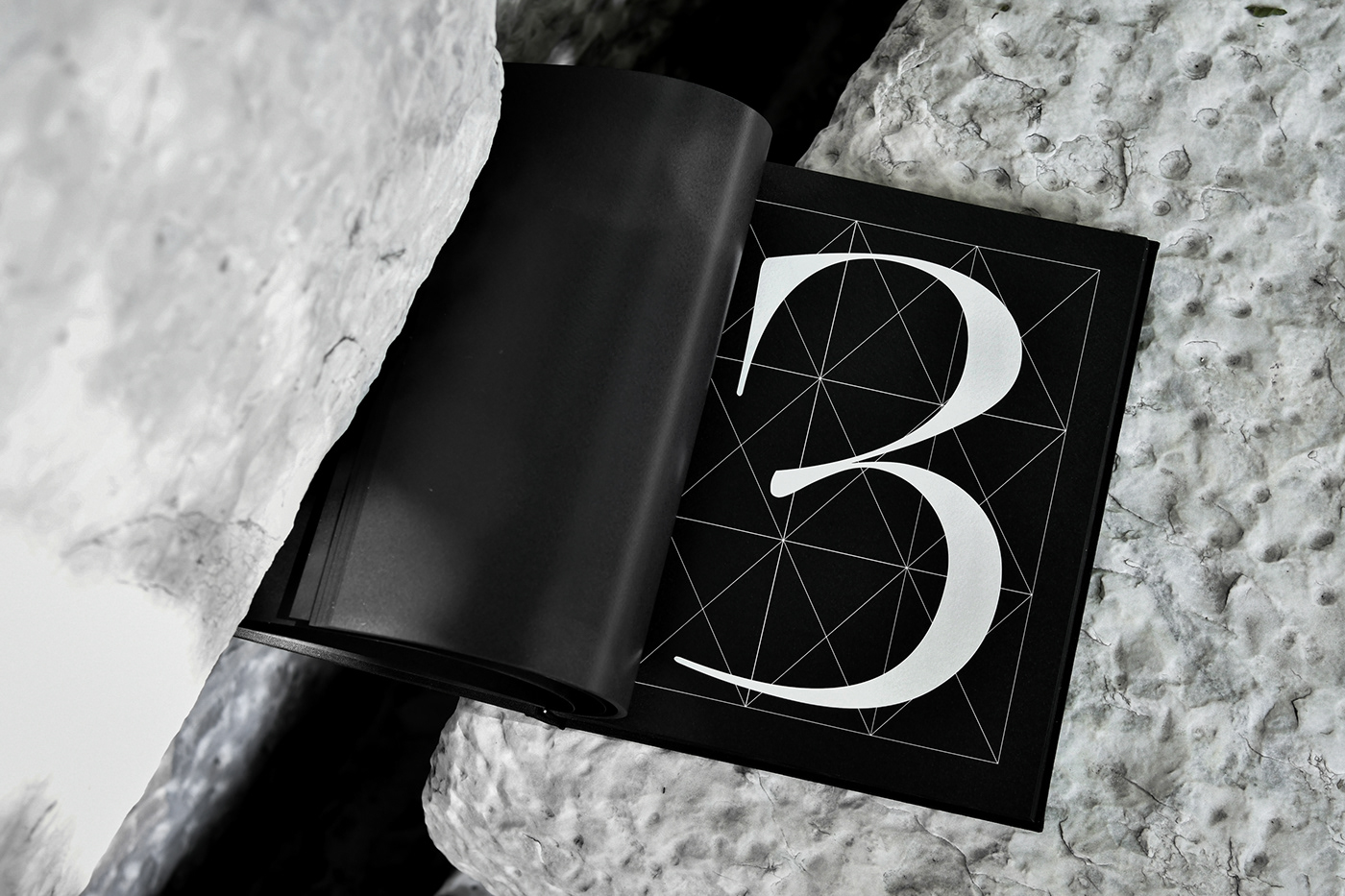 black book branding  design editorial graphic design  grid Layout minimal typography  