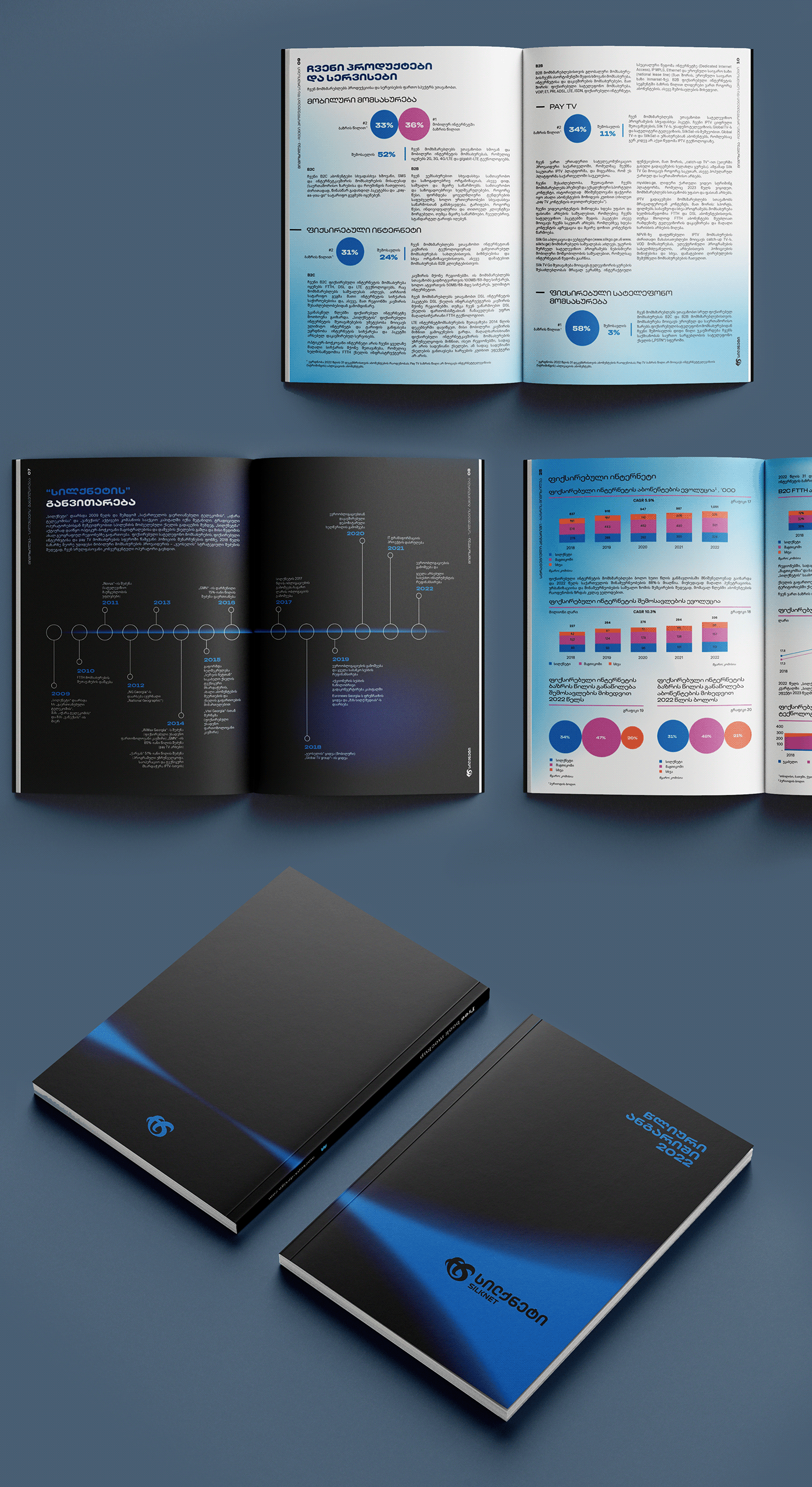 Annual Report Design Layout InDesign brochure digital financial Adobe InDesign Adobre illustrator charts and graphs