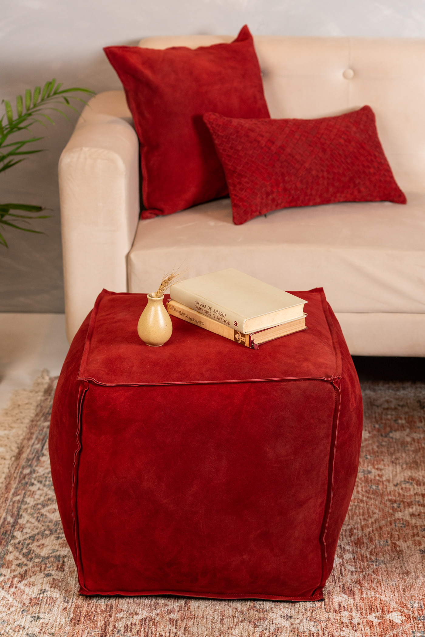 Commercial Photography Commercial photographer Product Photography brand identity cushions Couch sofa Interior Delhi