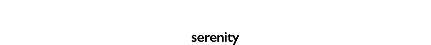 branding  serenity site Consulting Investment management