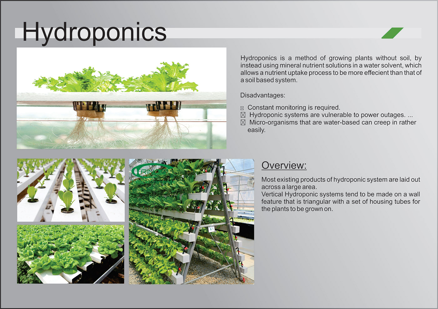 growing hydroponics plants product Vertical-farming