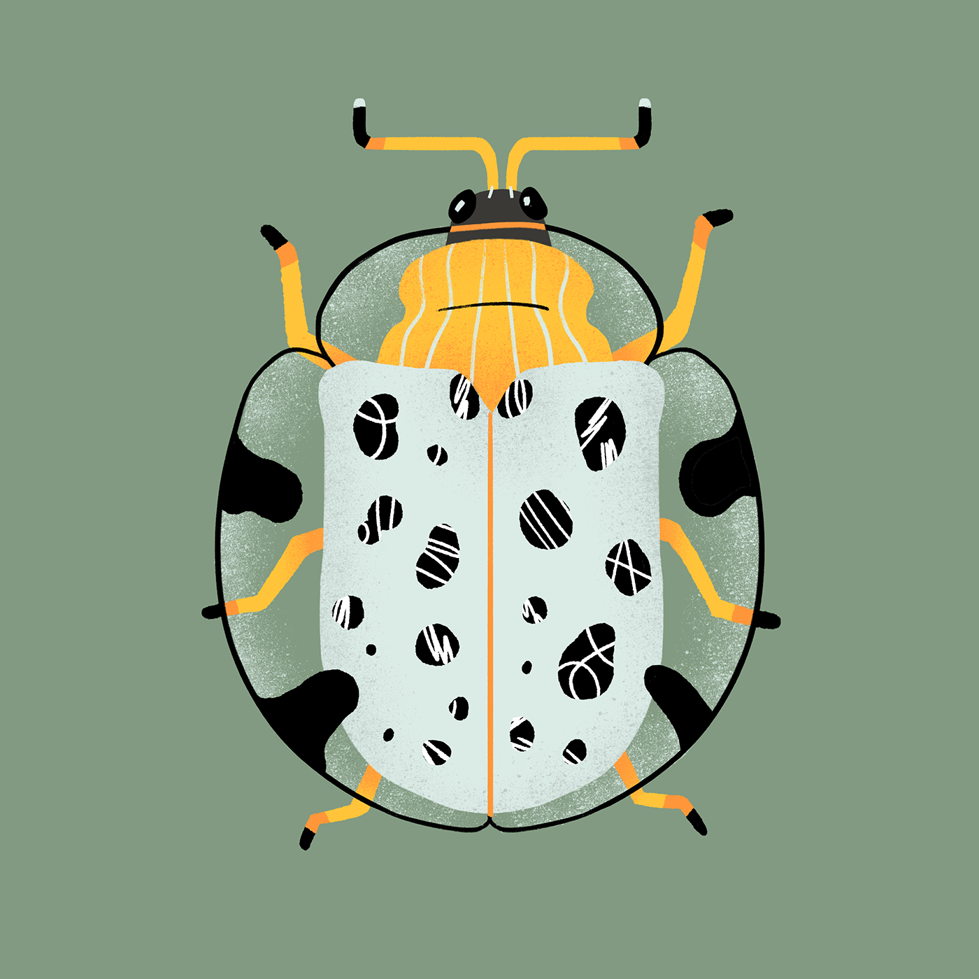 Insects bugs gif texture