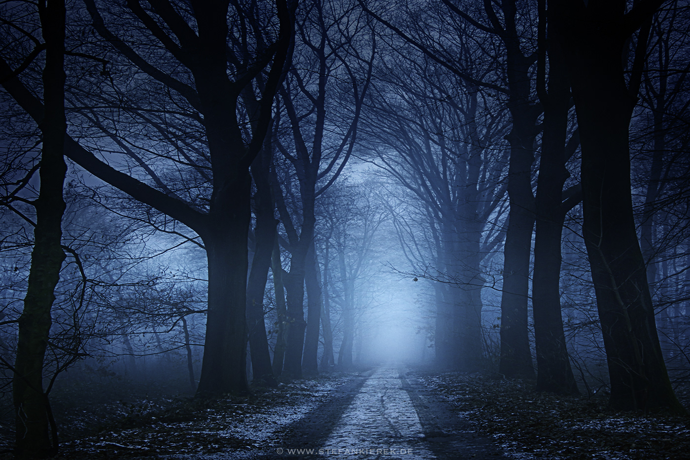 Dark forest :: Behance