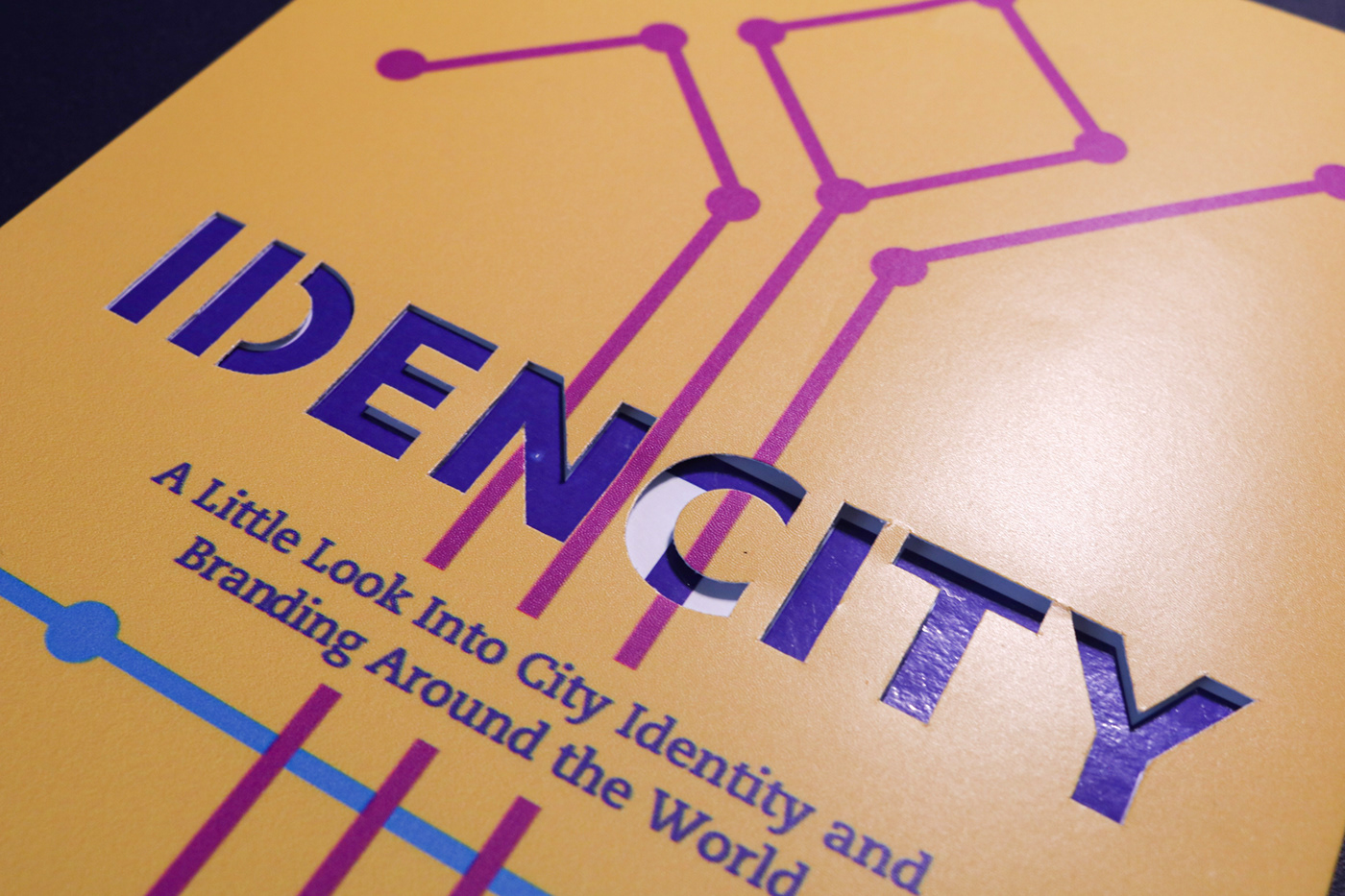 branding  city City branding city identity identity Layout metro publication railway typography  