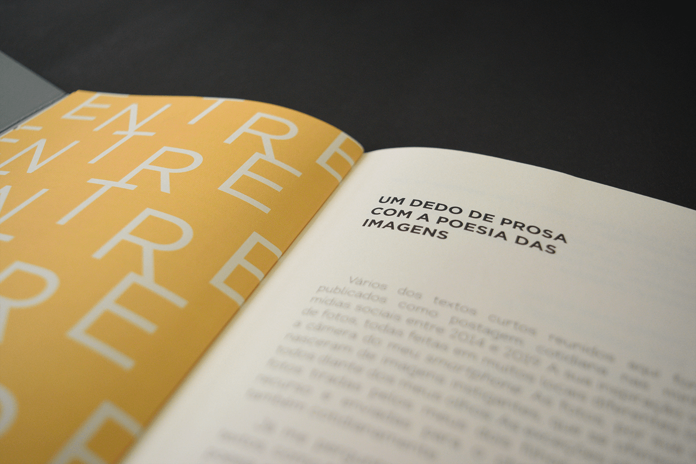 book book design editorial editorial design  Layout Layout Design print publication