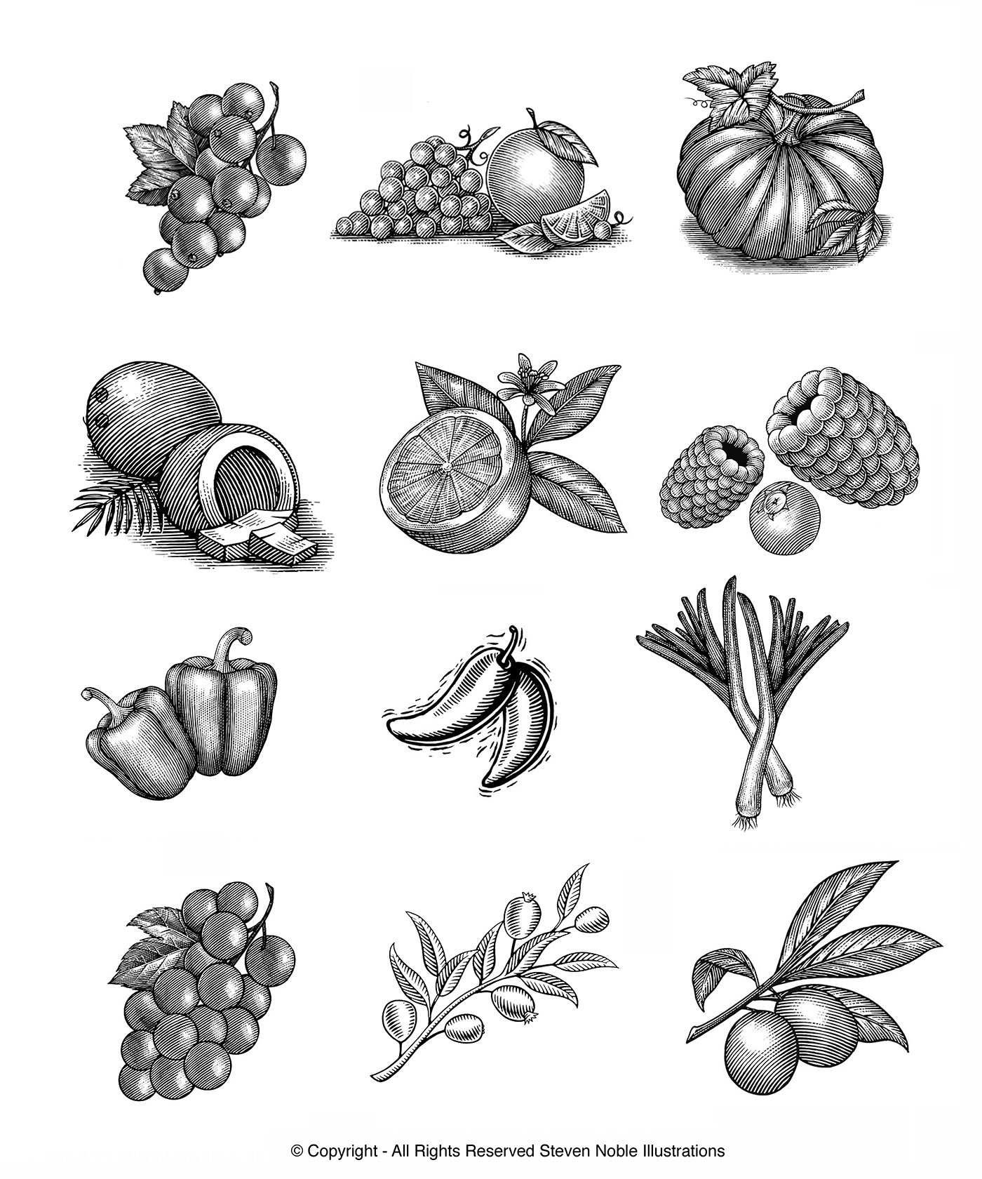artwork artist Illustrator woodcut linocut vegetable Fruit