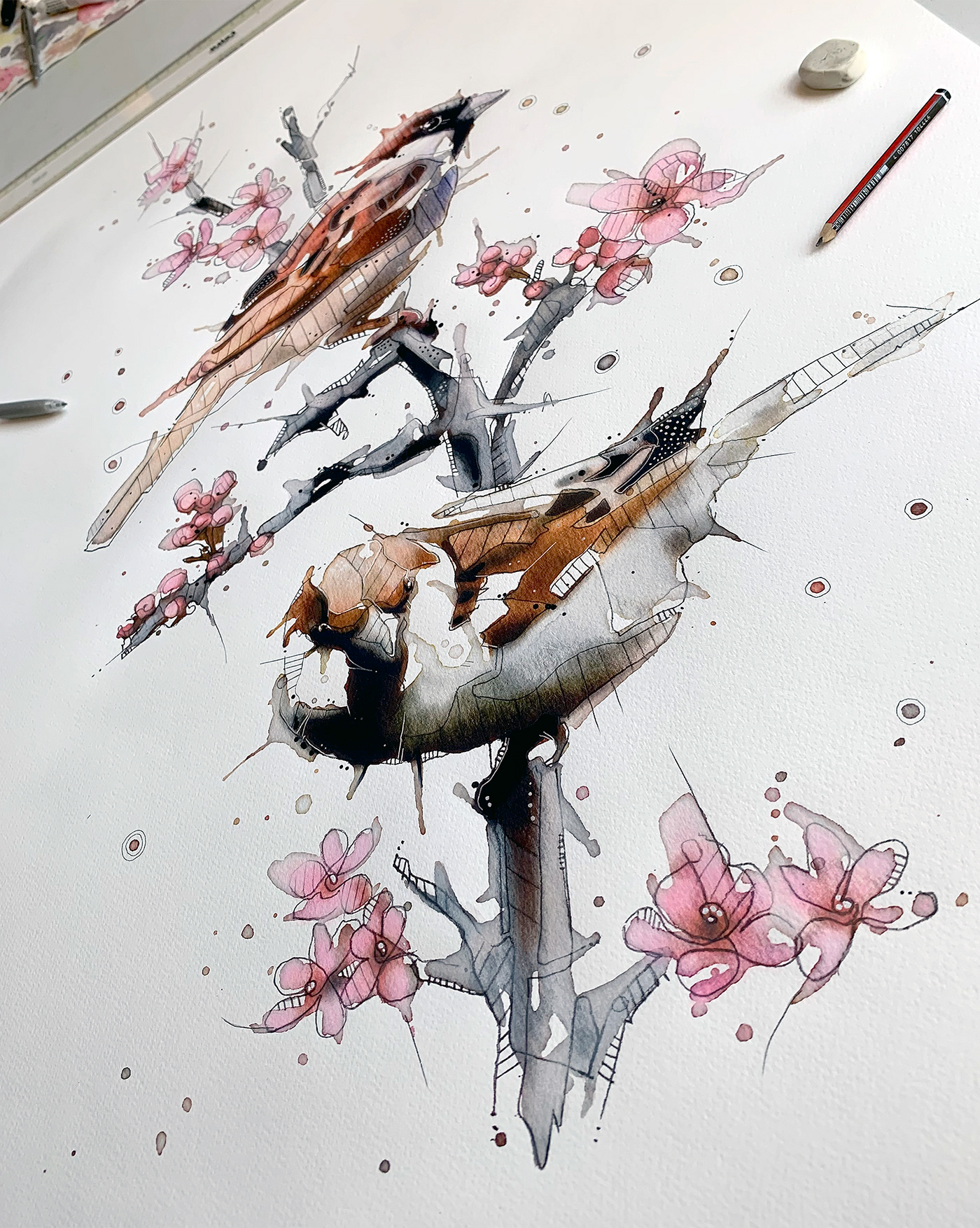birds watercolor wildlife sparrow animals illustration animal art Nature sketch birdart watercolorbirds