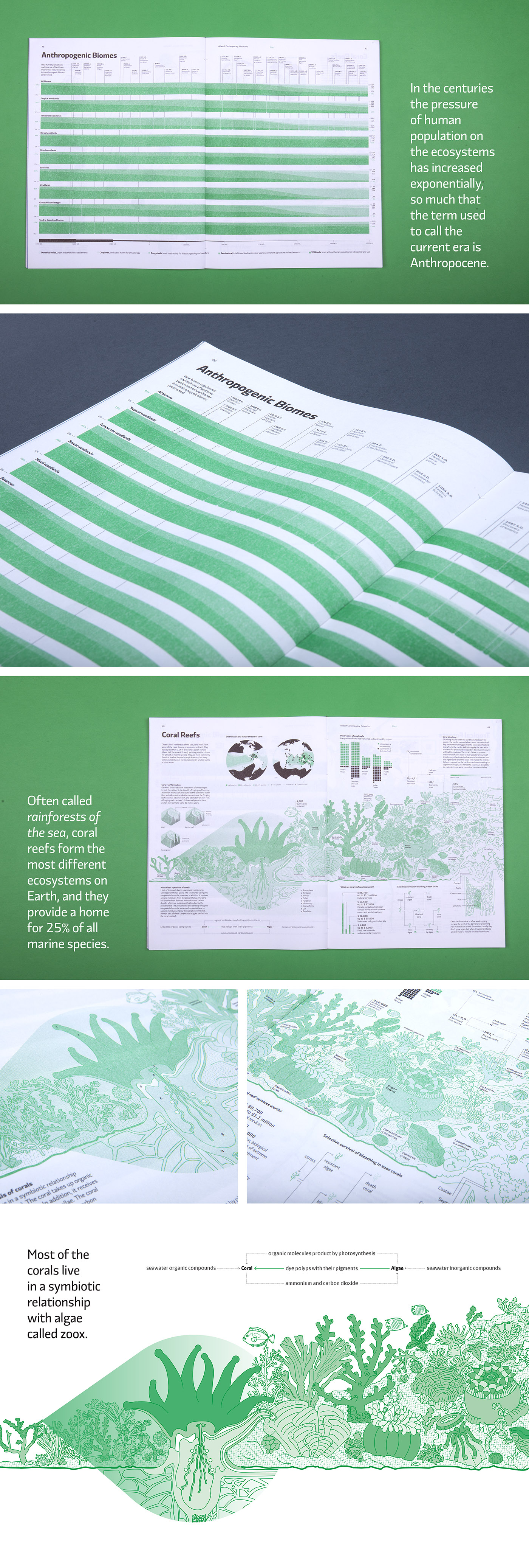 editorial graphic Flora atlas risograph network plants ILLUSTRATION  infographics infodesign