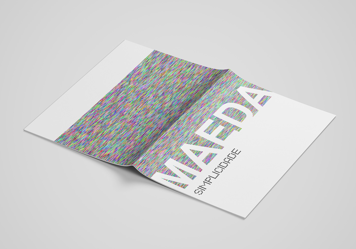 catalog graphic design  john maeda editorial design  simplicity InDesign