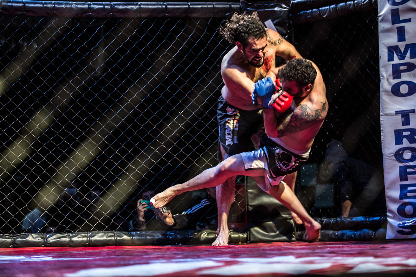 sport Martial Arts MMA Boxing kick boxing athlete Photography 