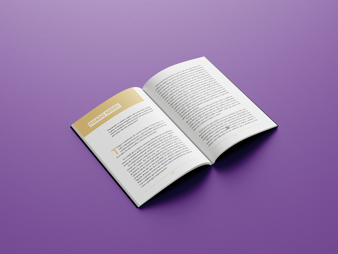 projeto gráfico design editorial diagramação design gráfico editorial InDesign brochure Livro diagramação de livro projeto gráfico editorial