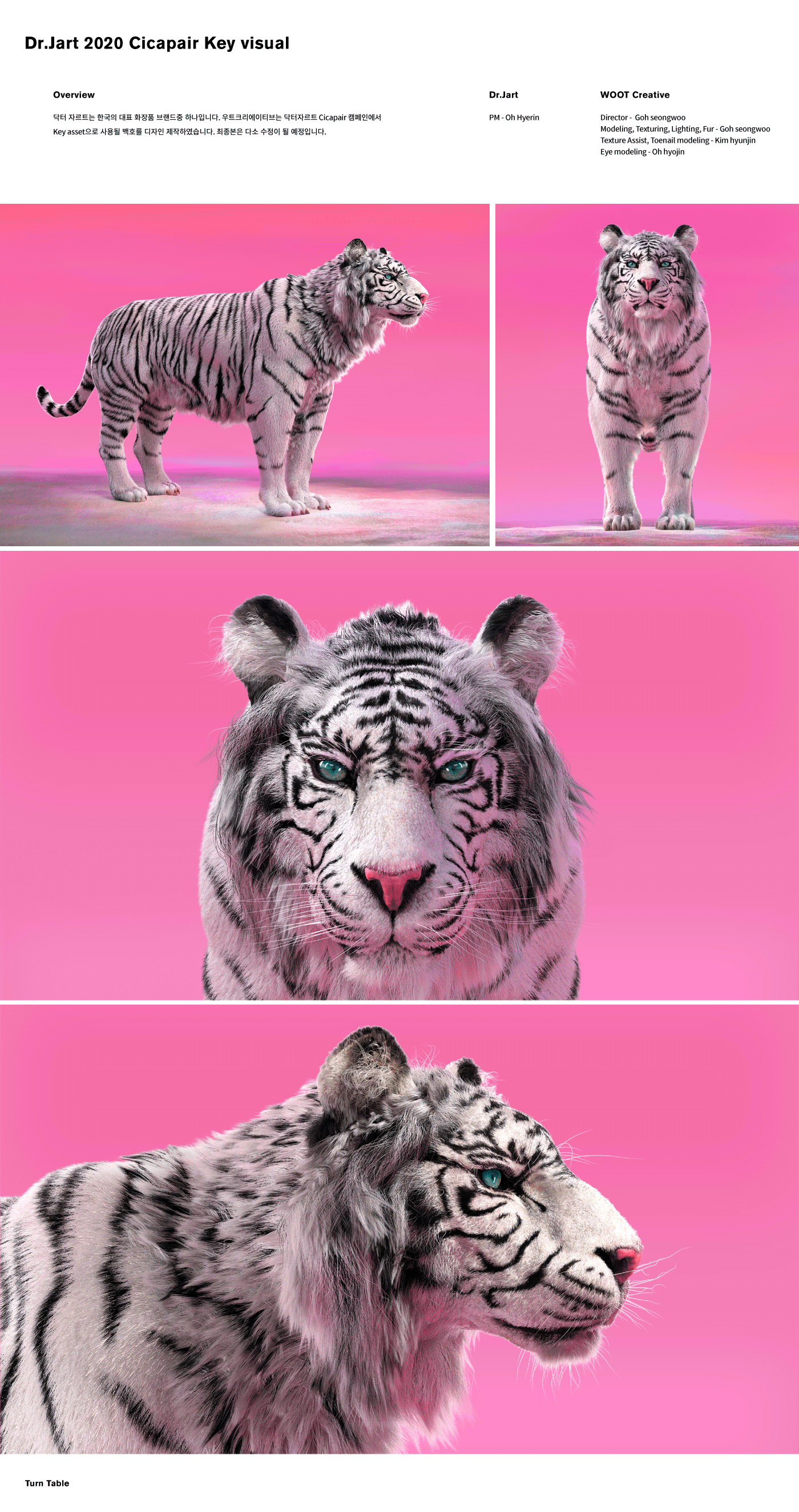cicapair Cosmetic creature Dr.jart modeling tigher white tiger